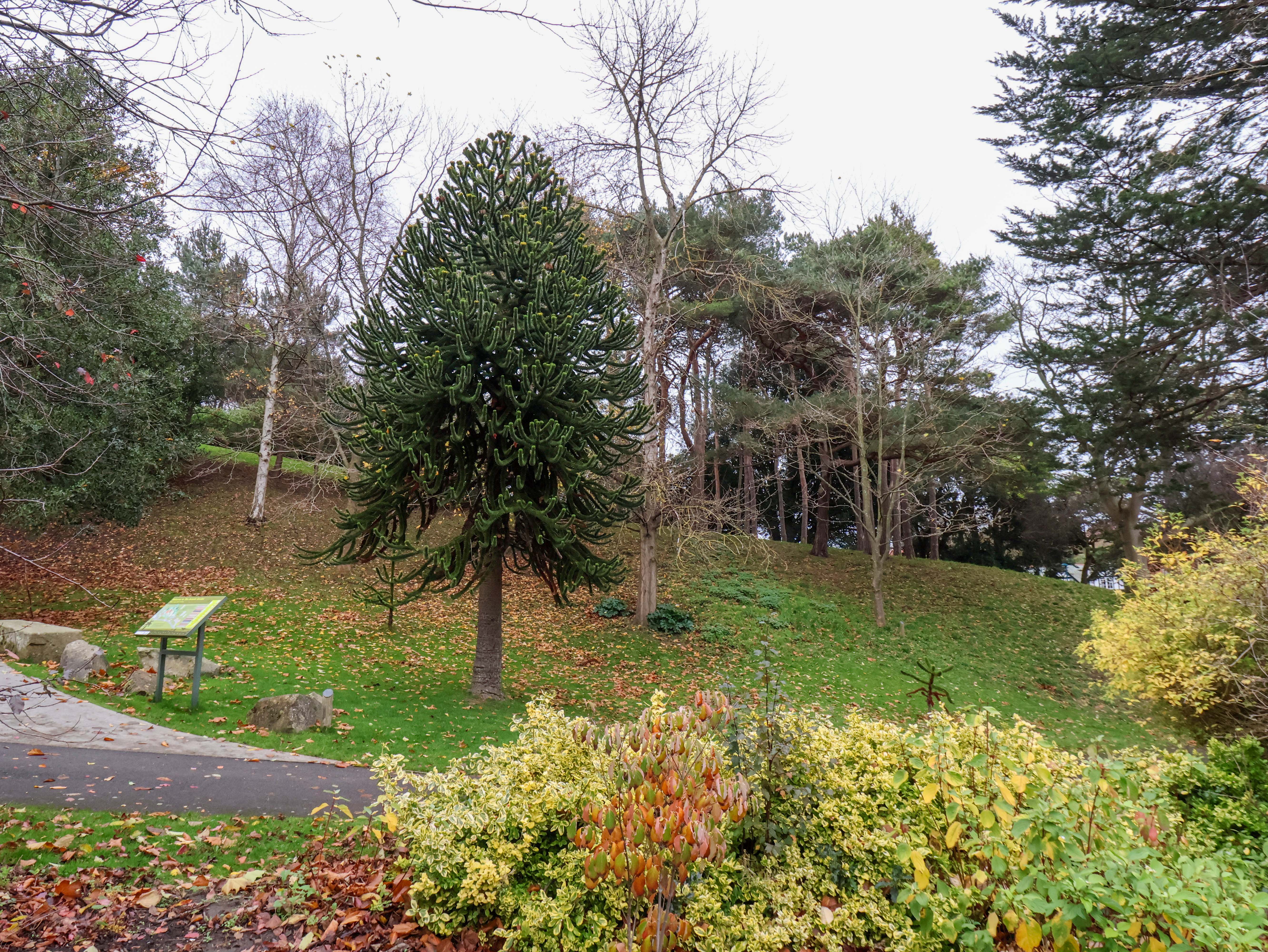 Property image 16 for SC1192730