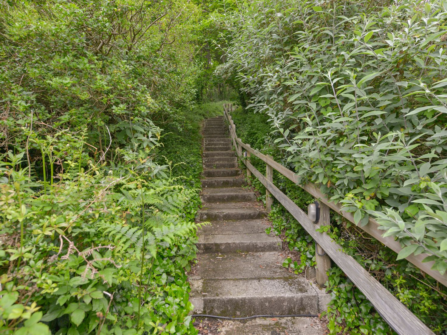 Property image 28 for SC1193235