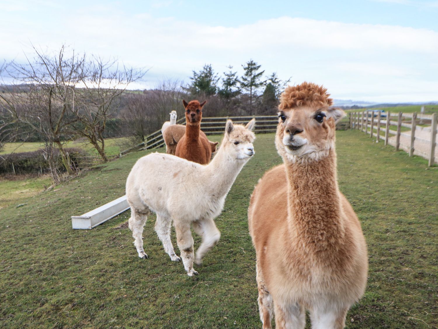 Property image 57 for SC1193808