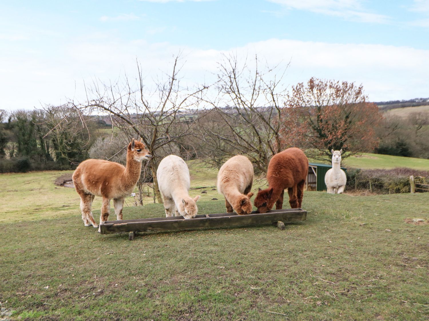 Property image 59 for SC1193808