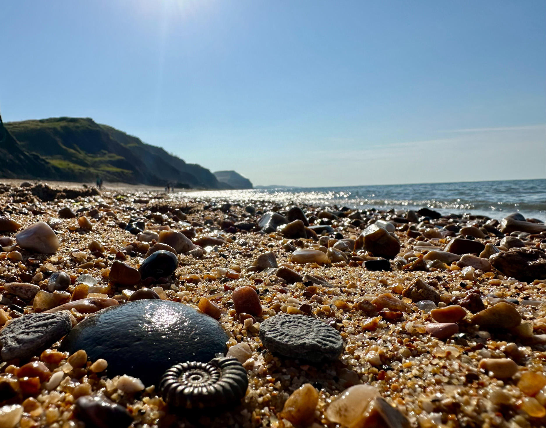 Property image 25 for SC1193938