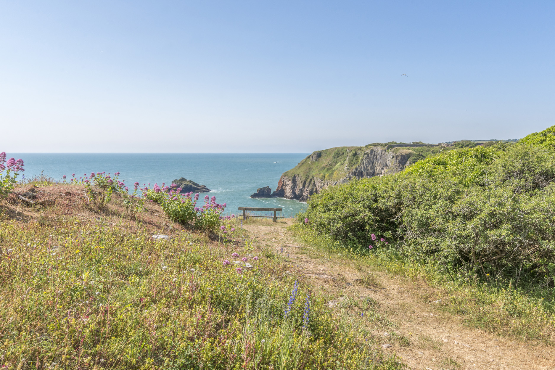 Property image 16 for SC1194140