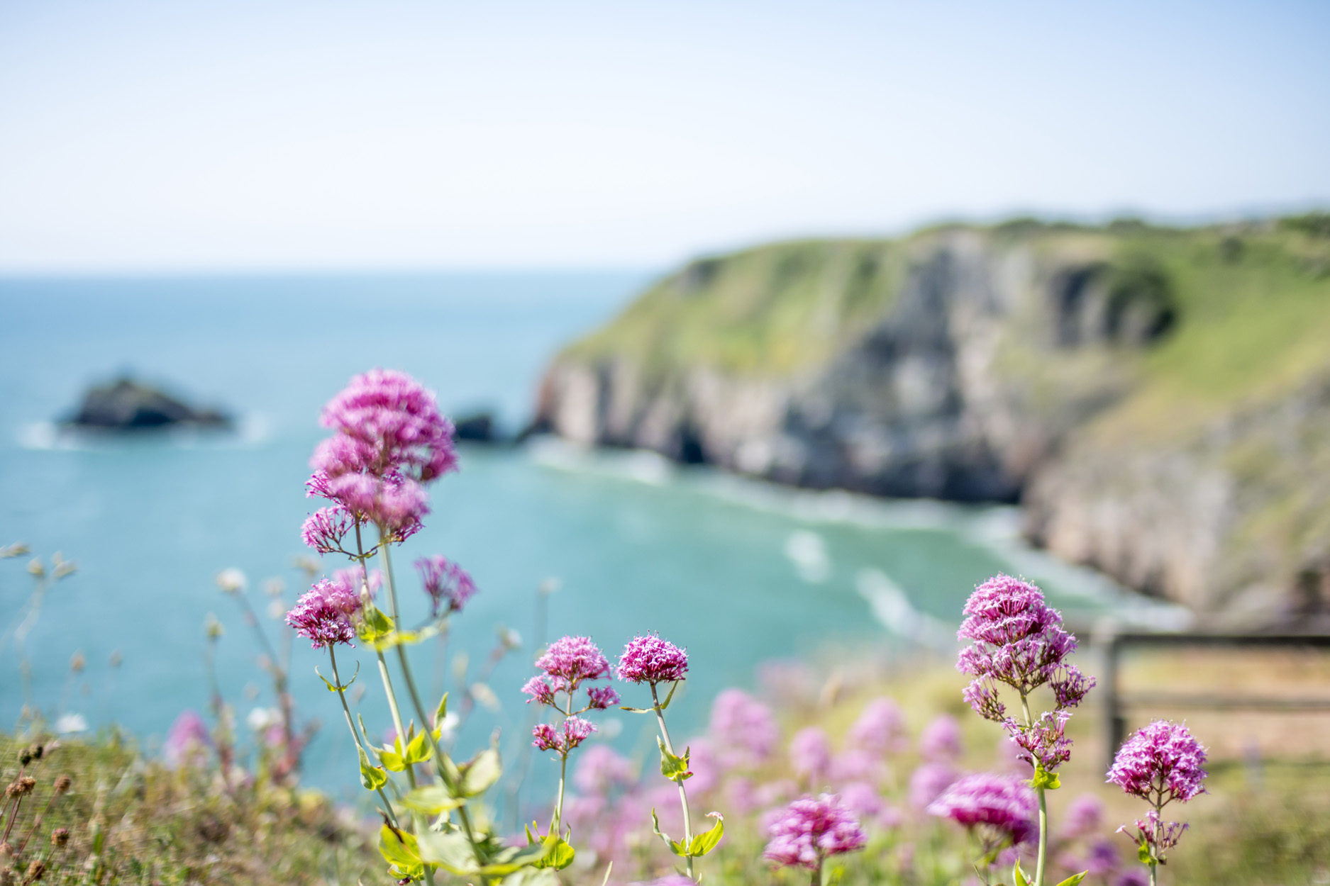 Property image 17 for SC1194140