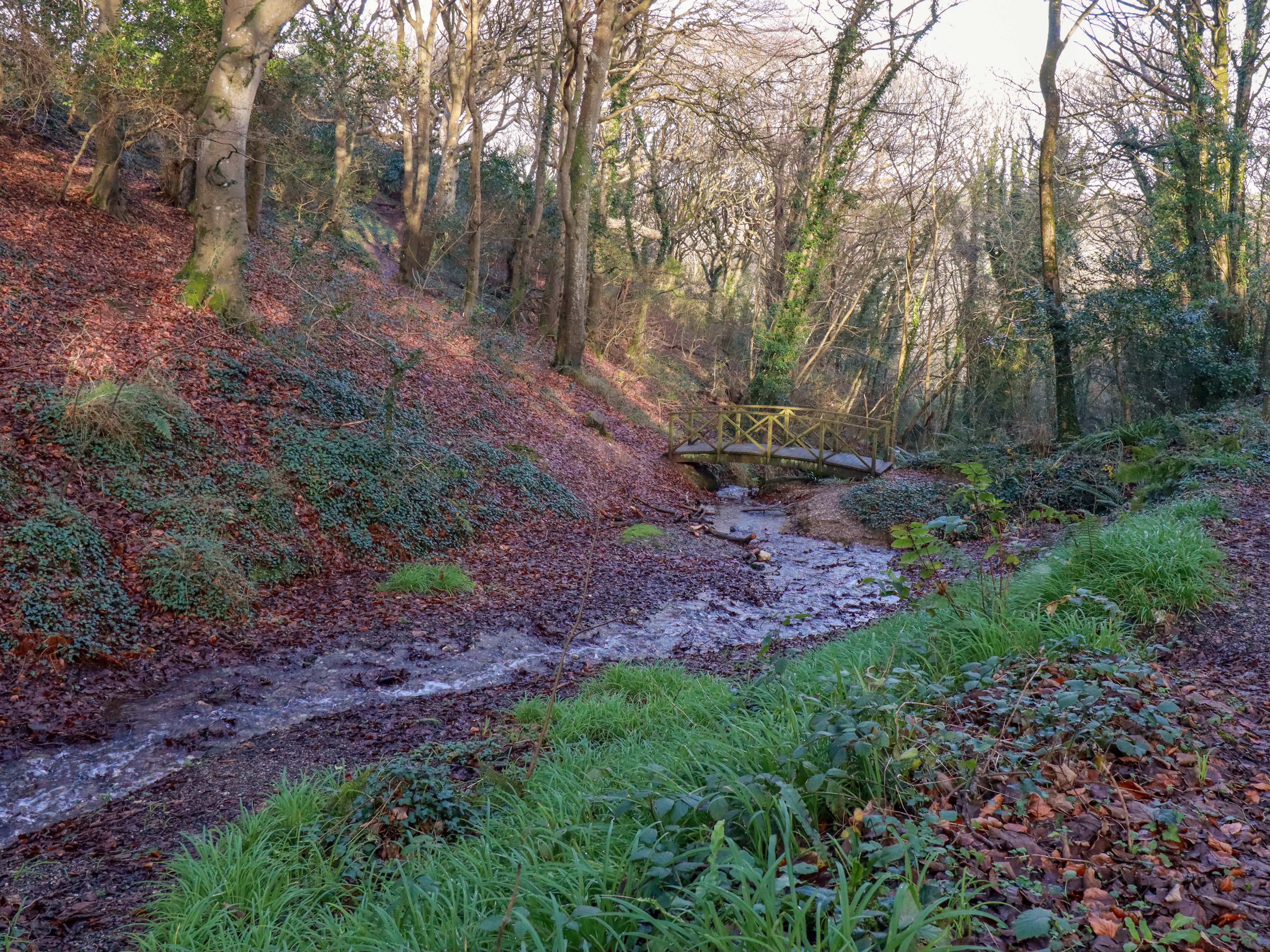 Property image 29 for SC1194324