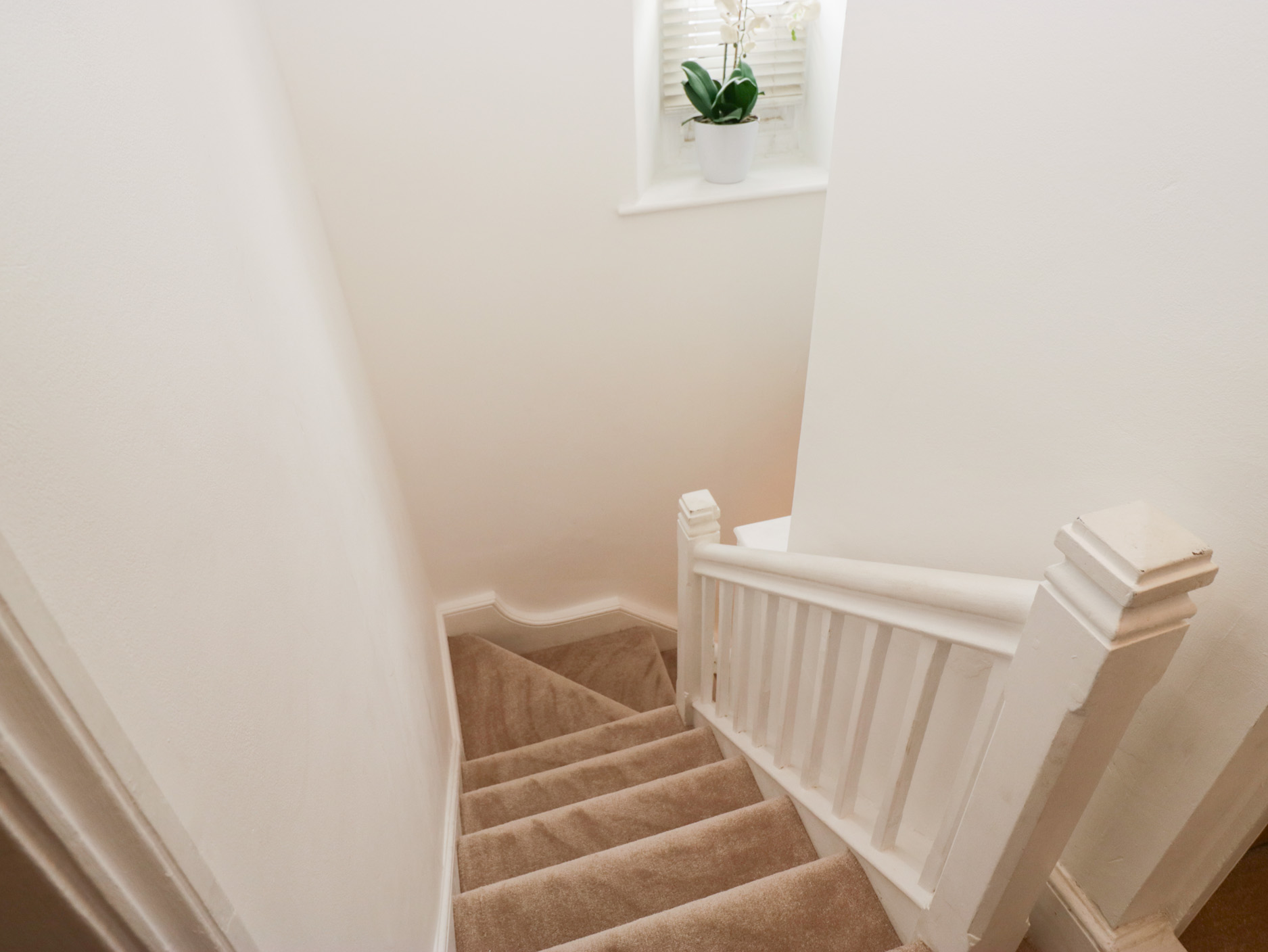 Property image 34 for SC1194349