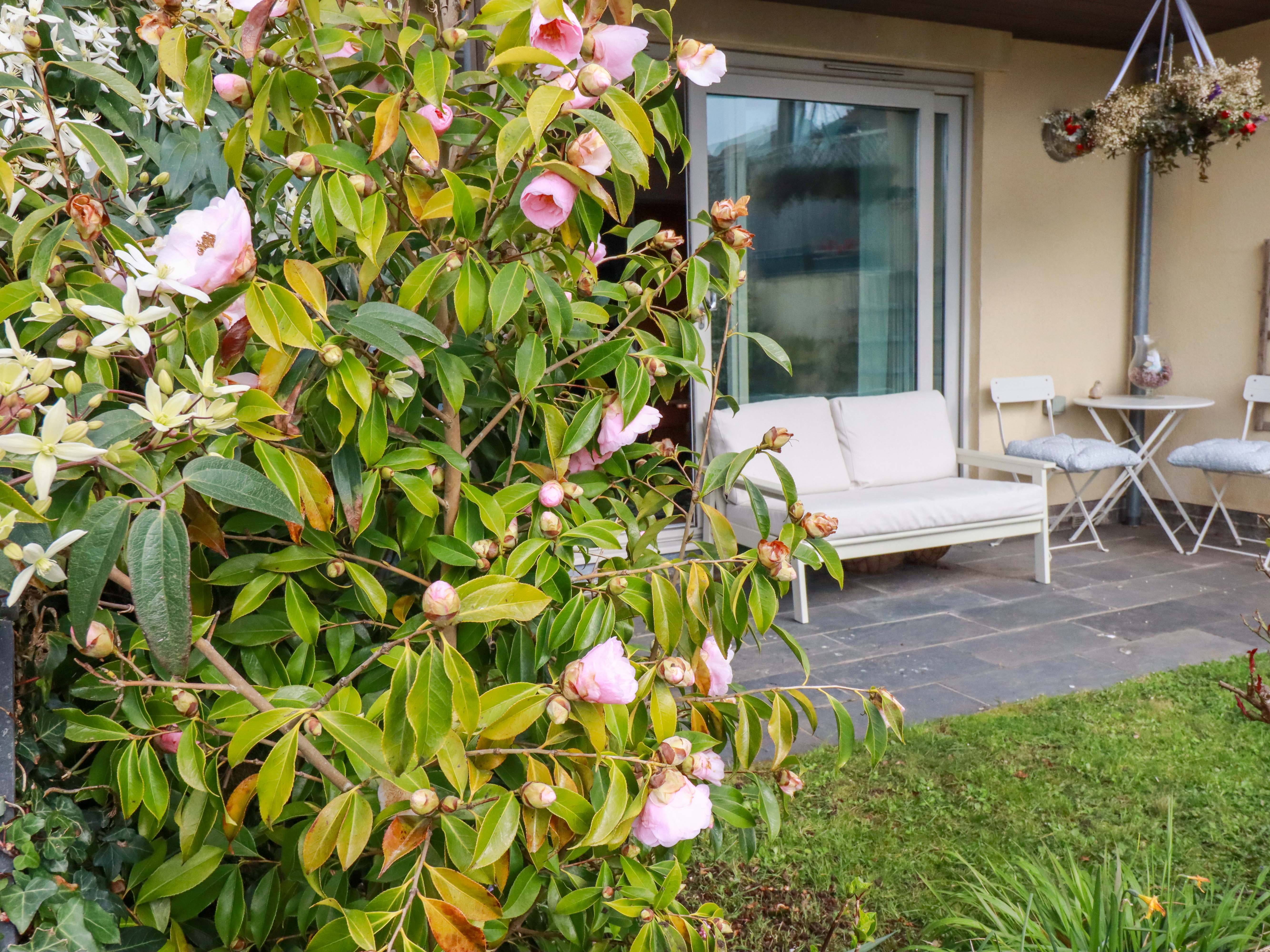 Property image 16 for SC1194351