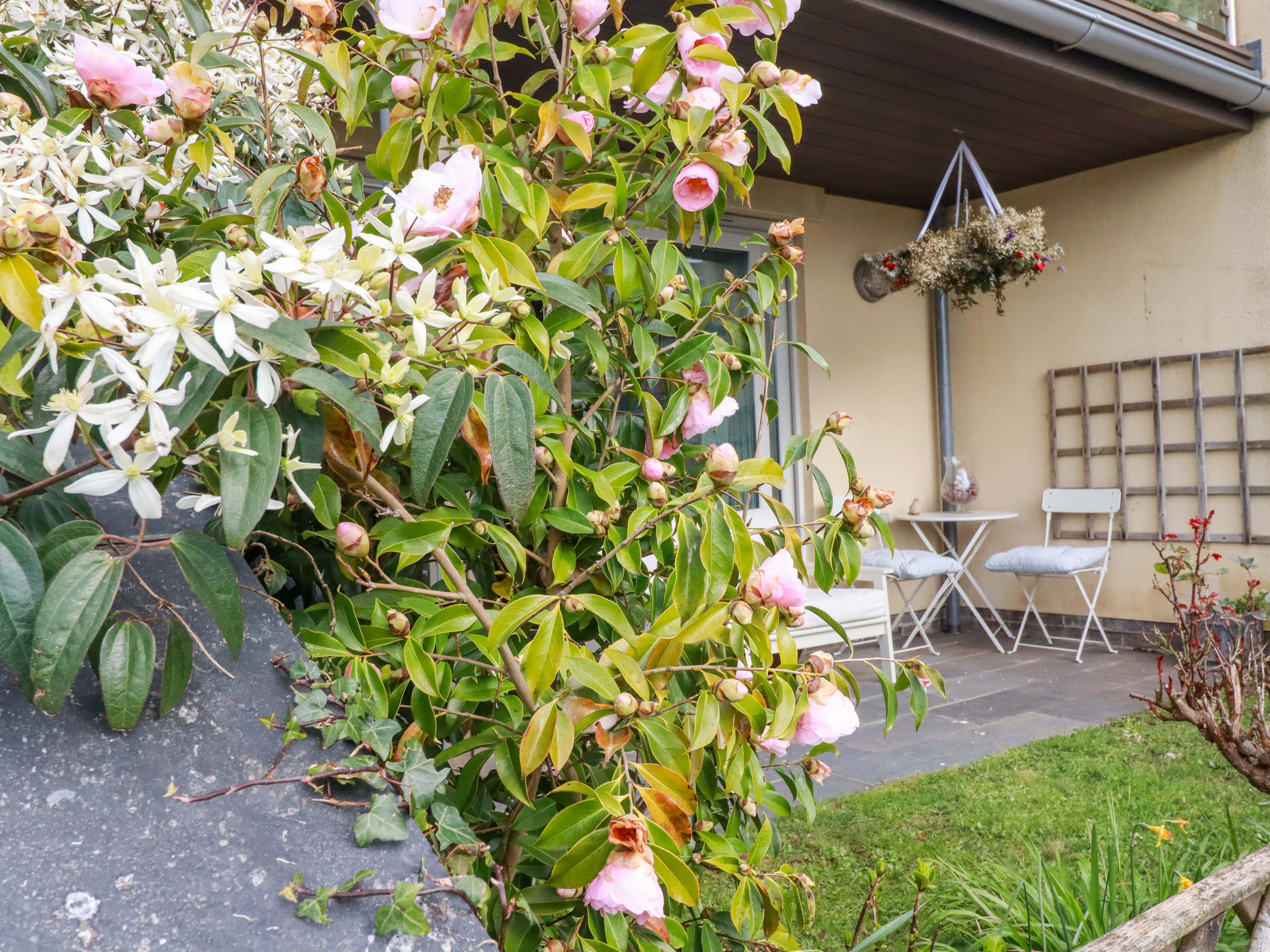 Property image 17 for SC1194351