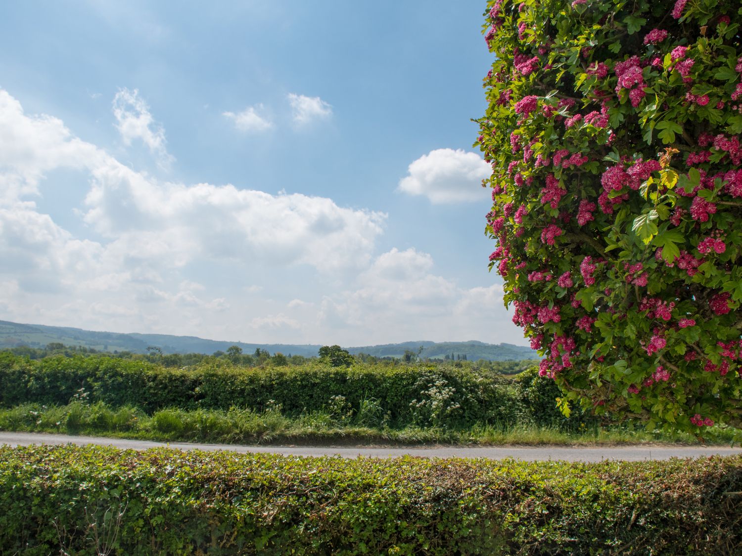 Property image 18 for SC1195637