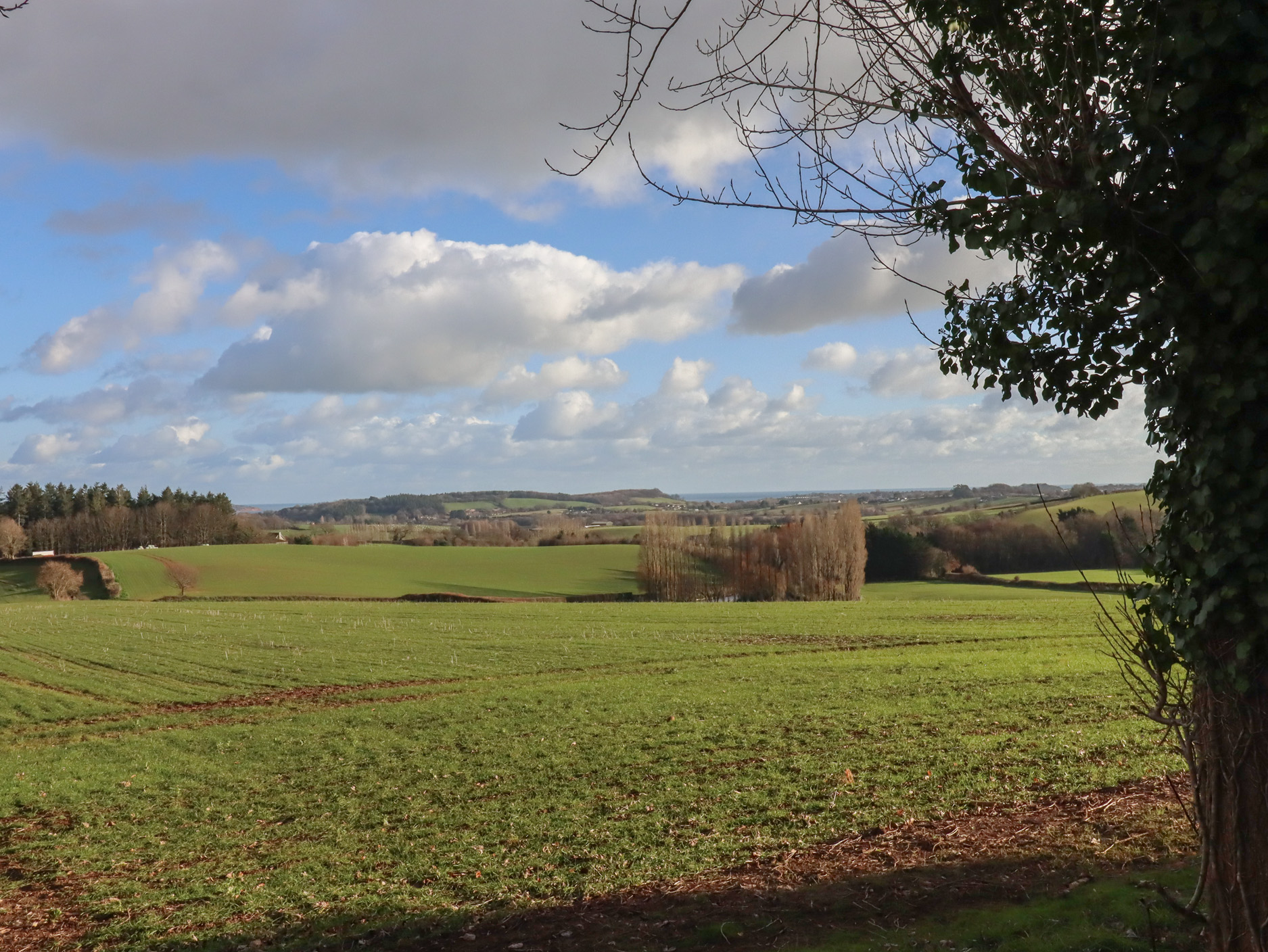 Property image 27 for SC1195745