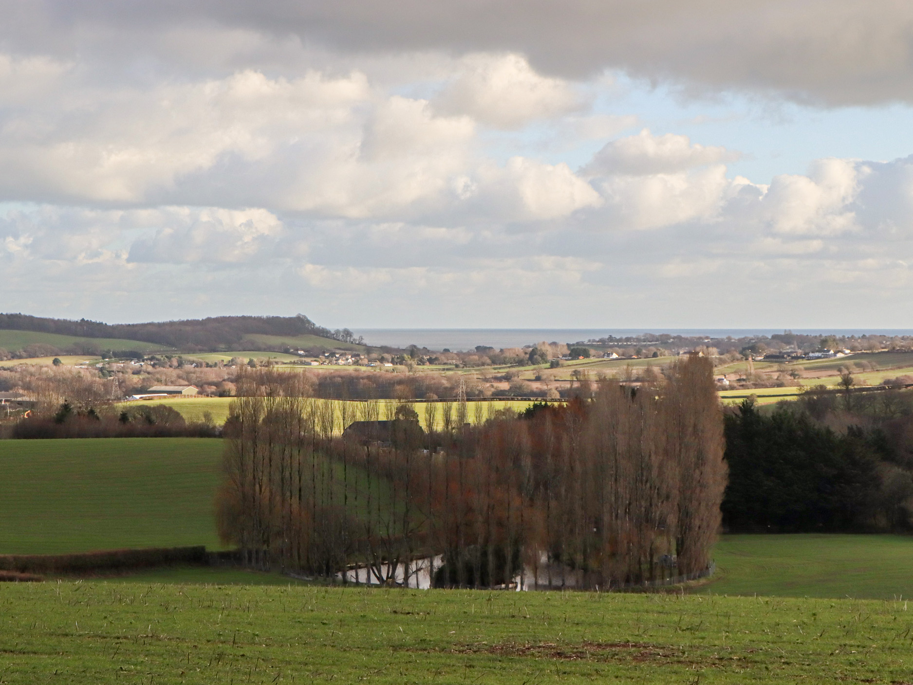 Property image 30 for SC1195745