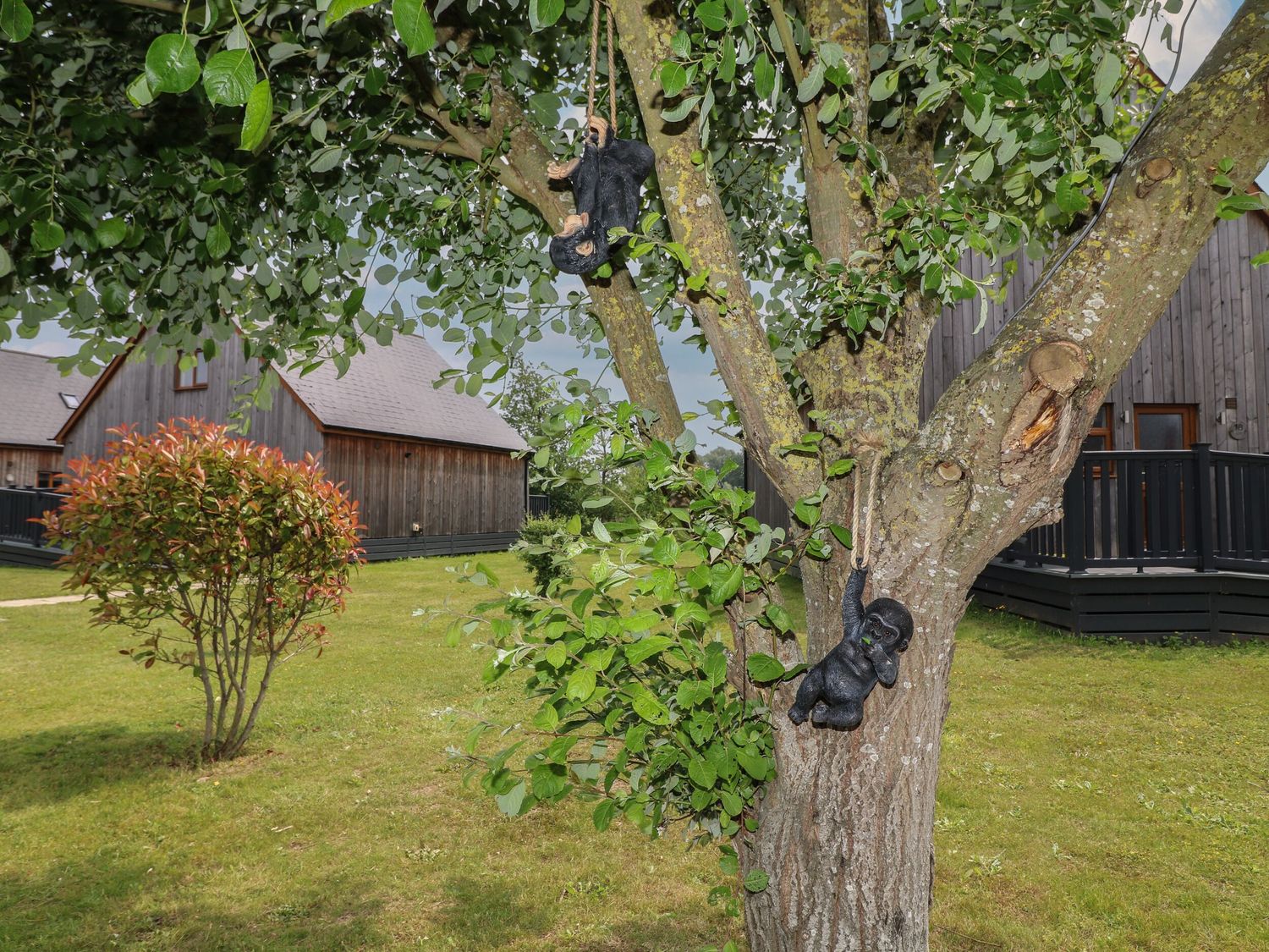 Property image 23 for SC1196088