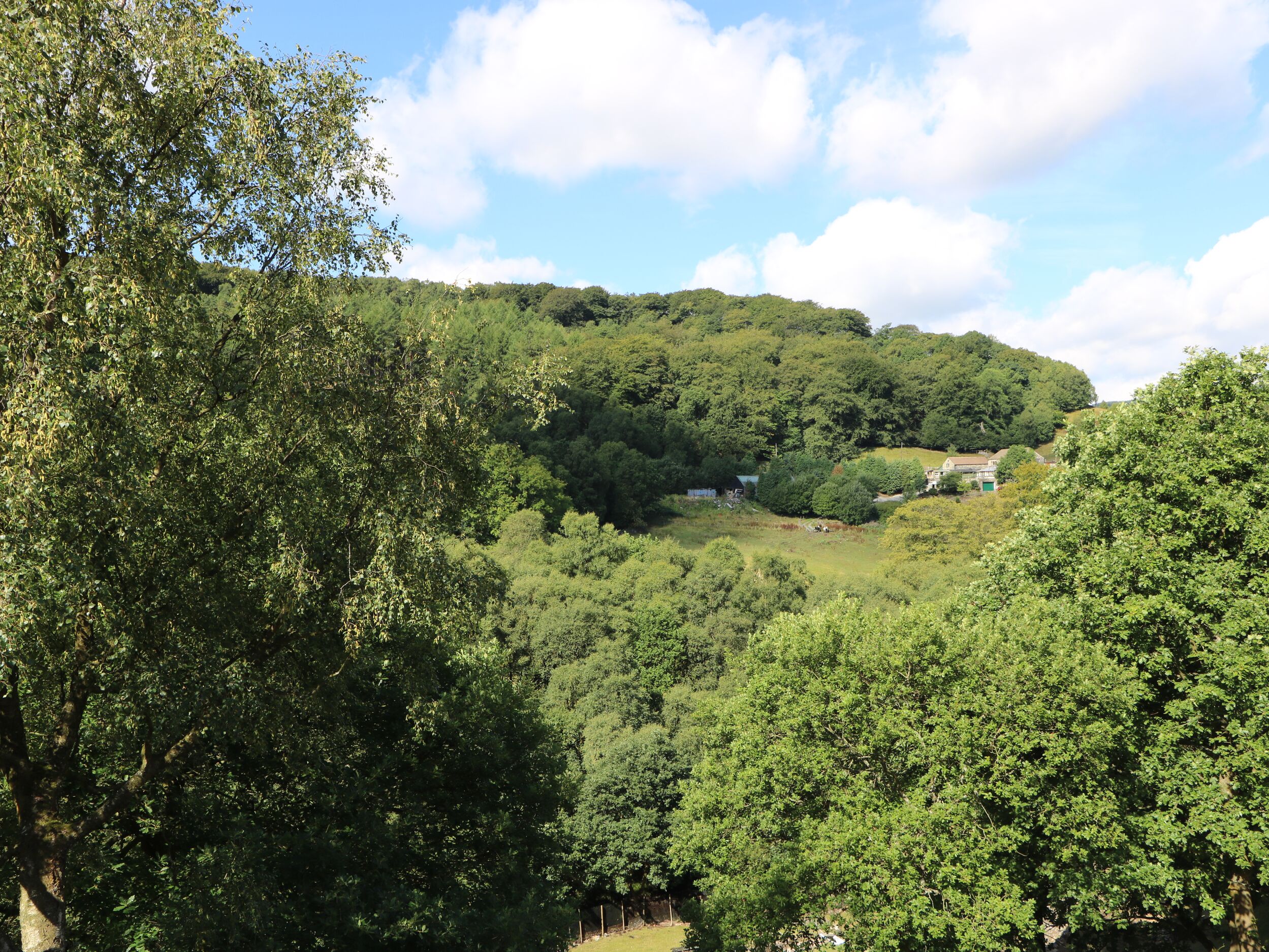 Property image 20 for SC1197311