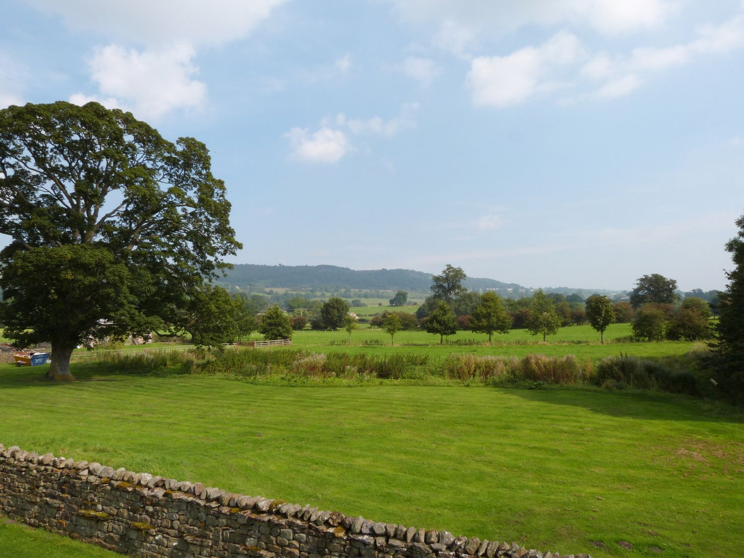 Property image 11 for SC1197605