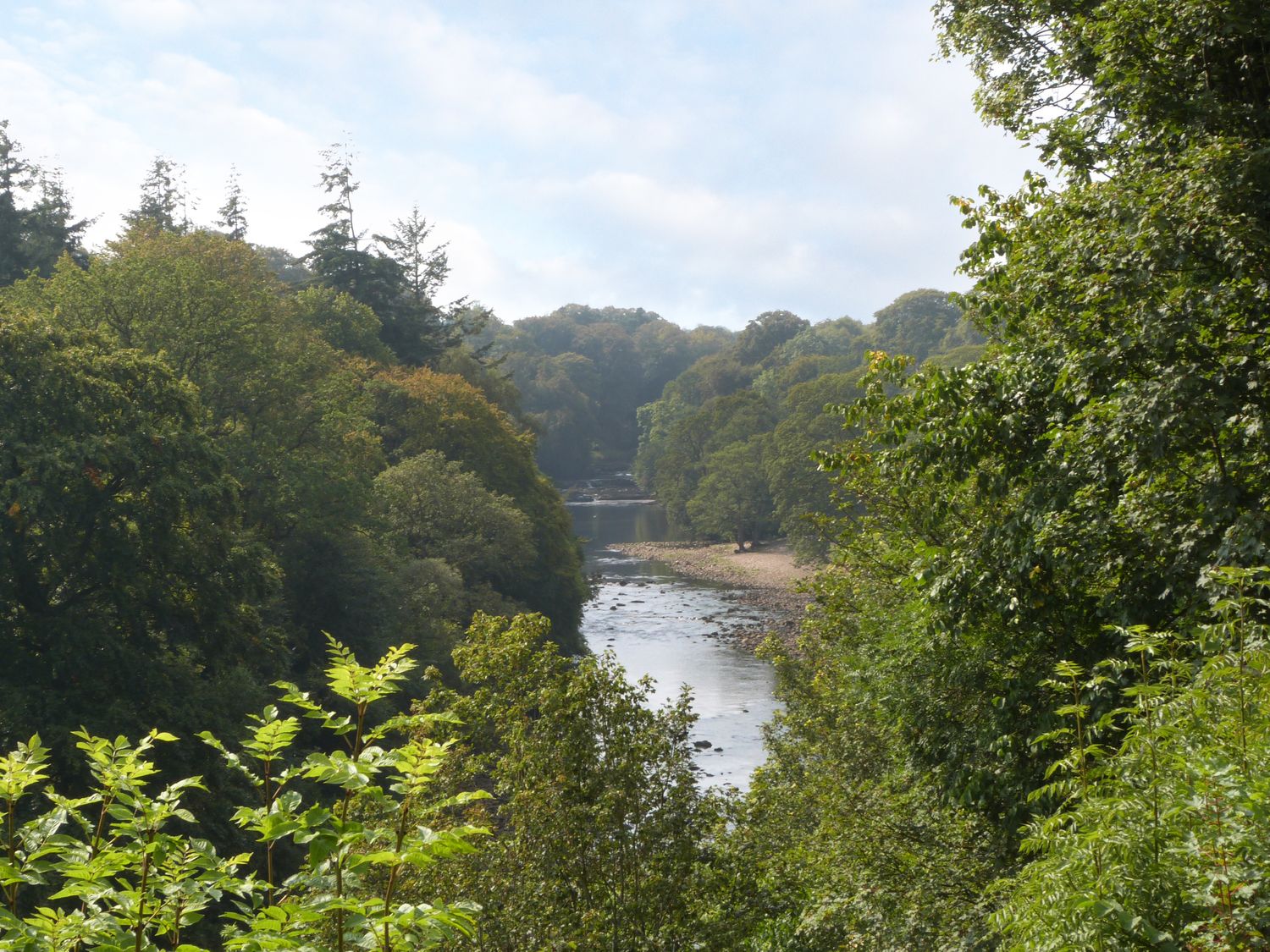 Property image 12 for SC1197605