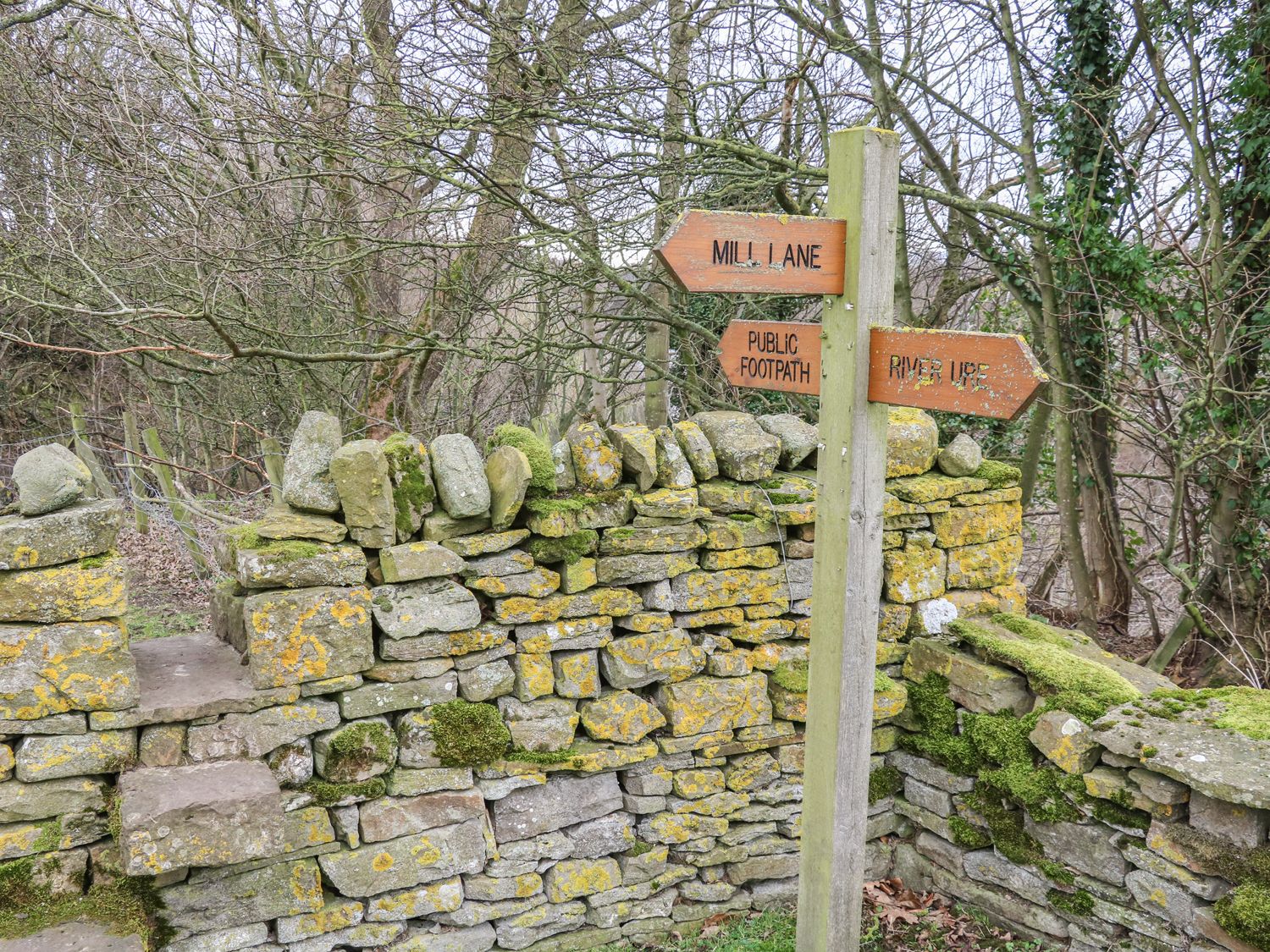 Property image 13 for SC1197605