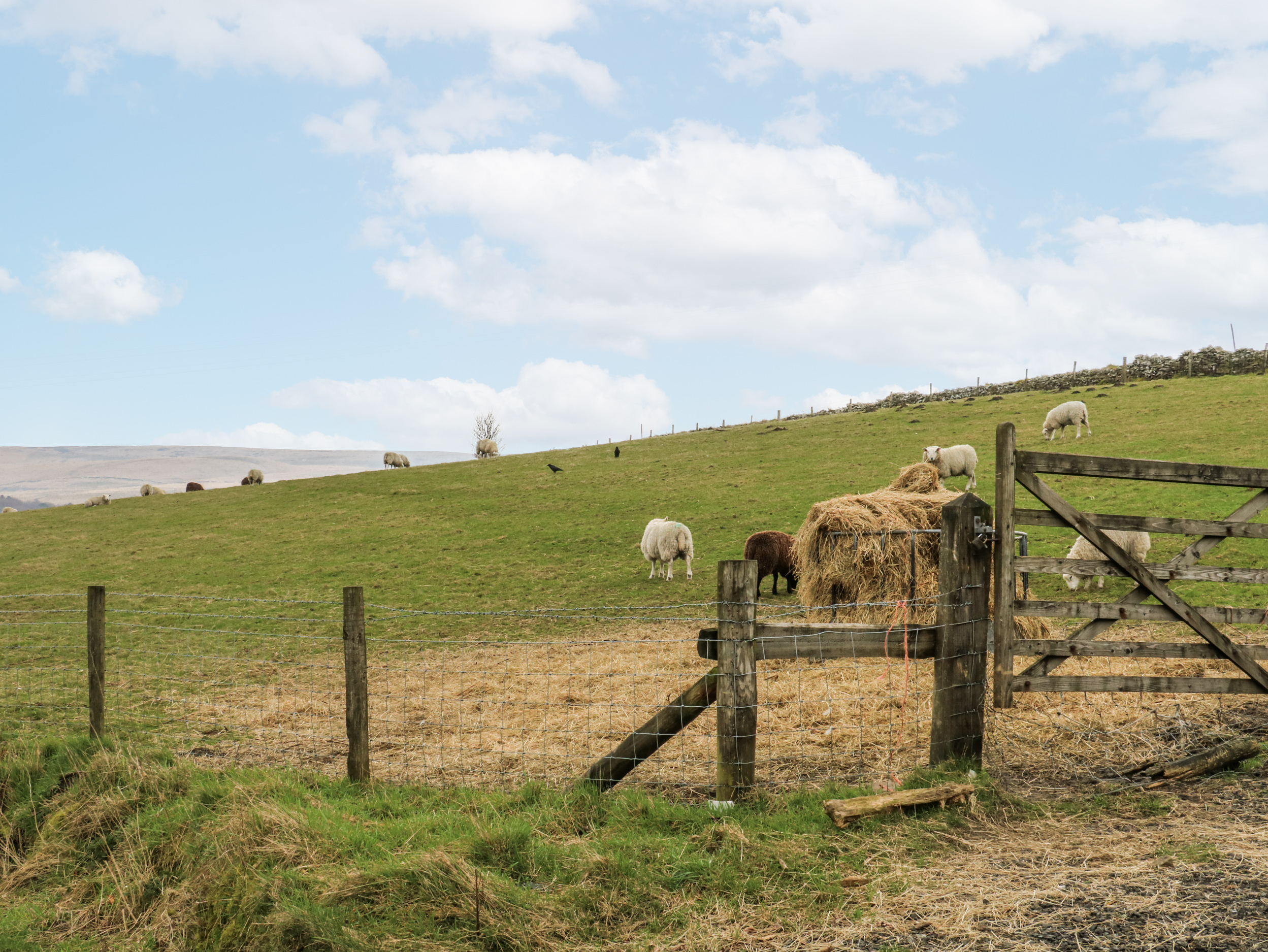Property image 3 for SC1198073