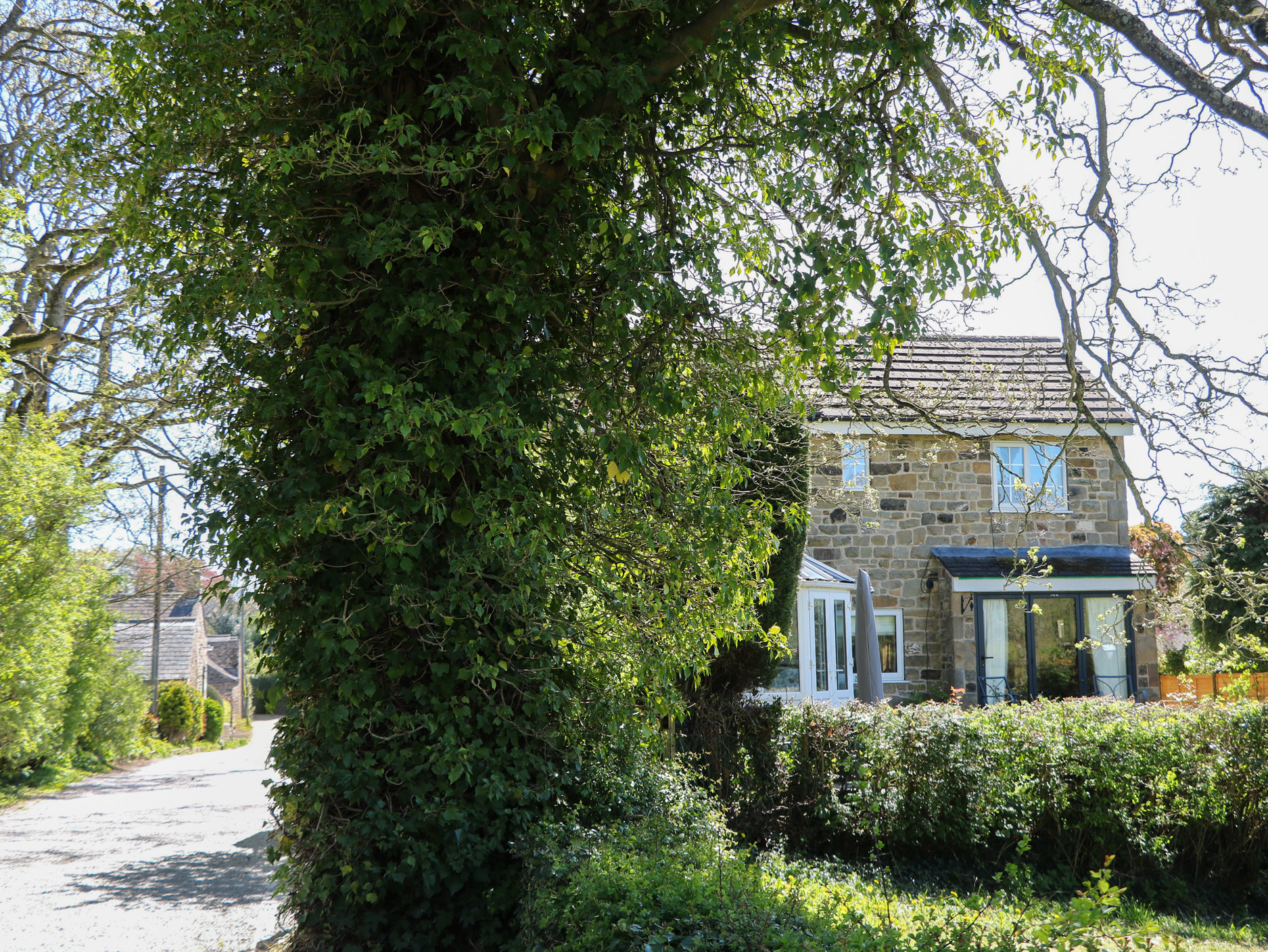 Property image 21 for SC1198284
