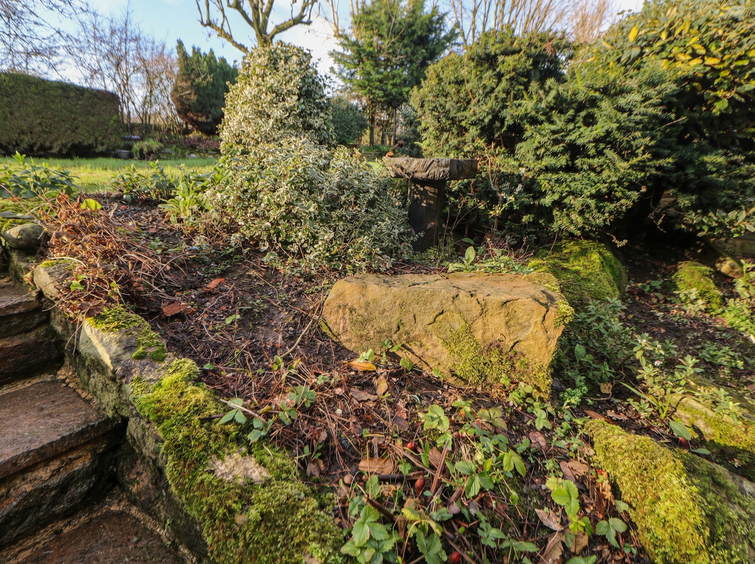 Property image 24 for SC1198441