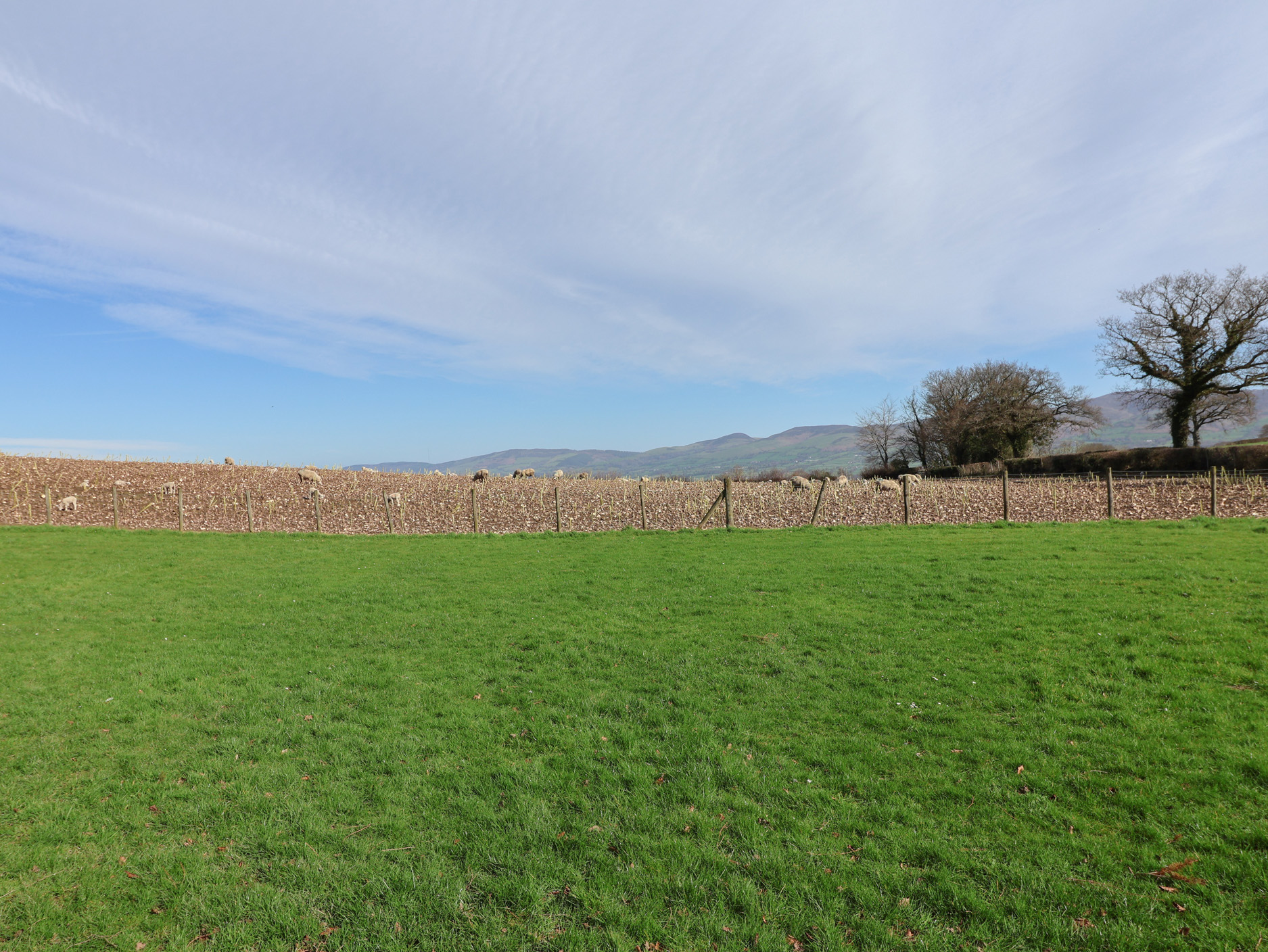 Property image 22 for SC1198842