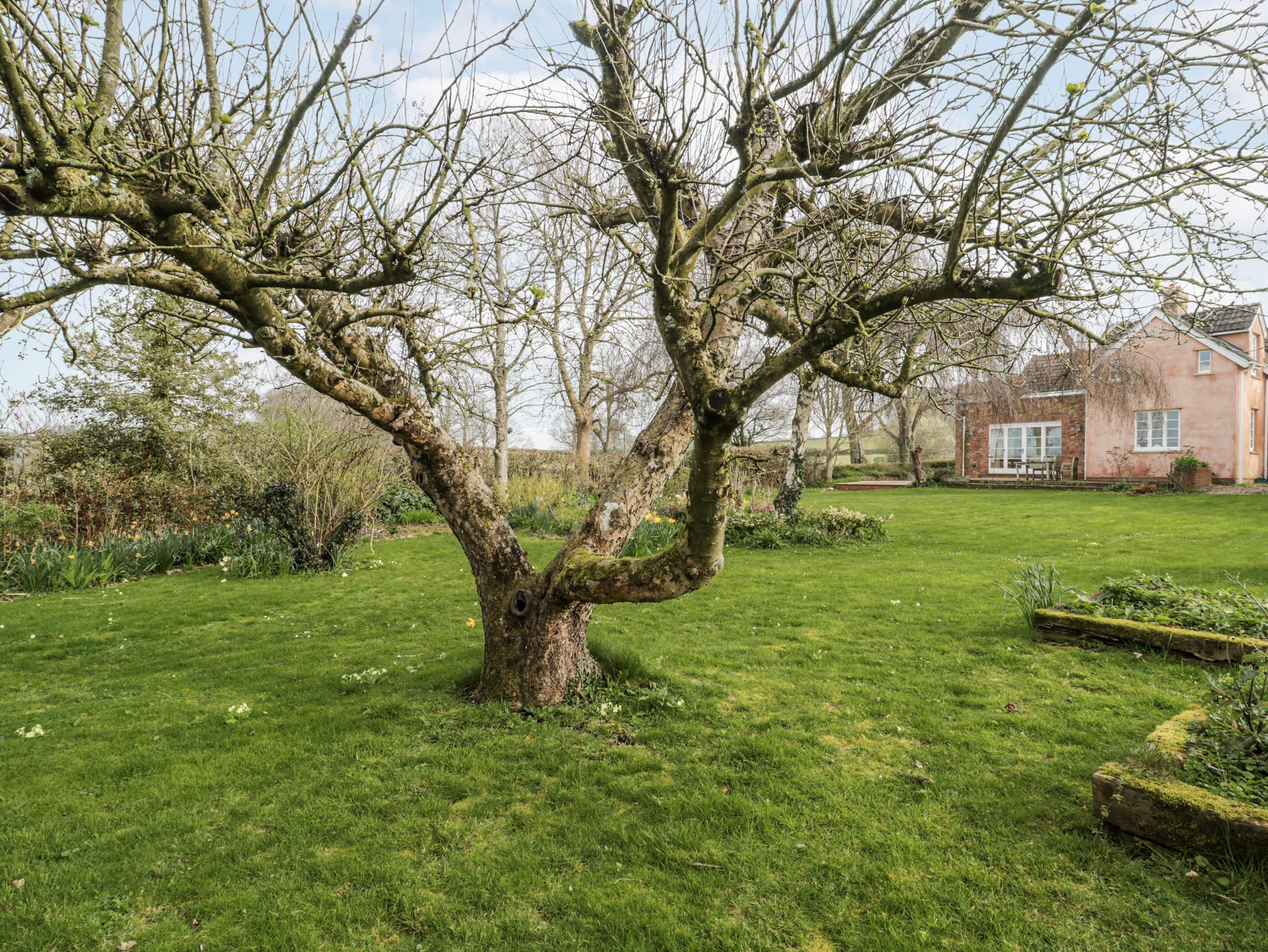 Property image 24 for SC1199188