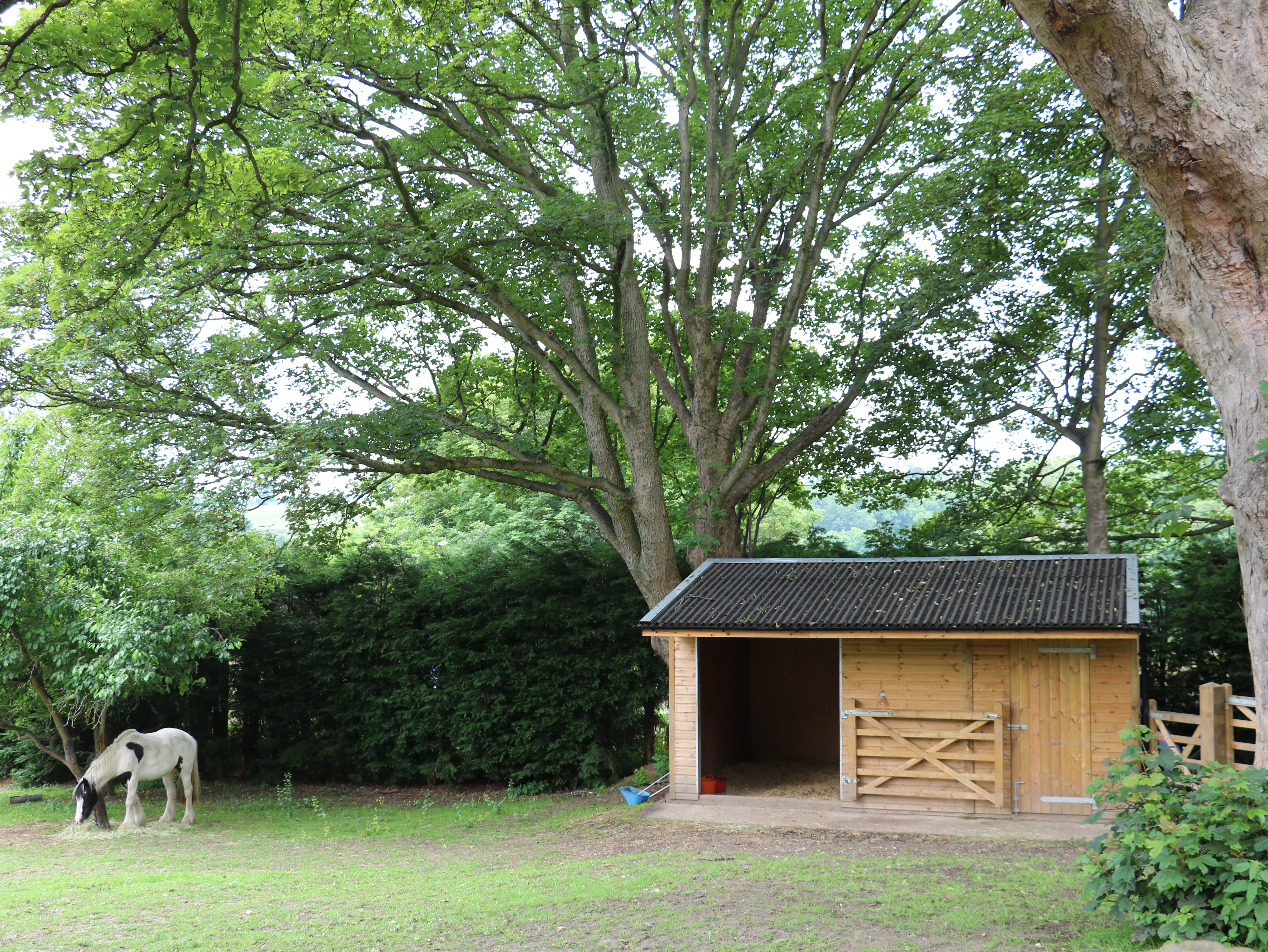 Property image 23 for SC1201763