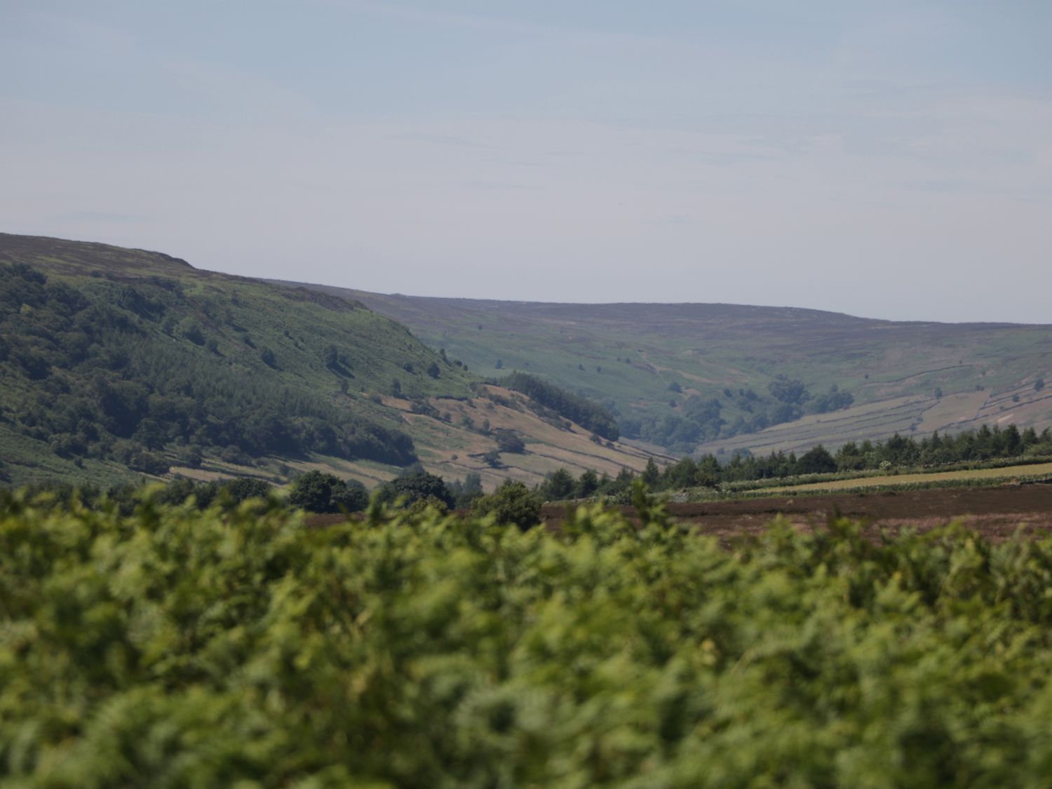Property image 30 for SC1202267