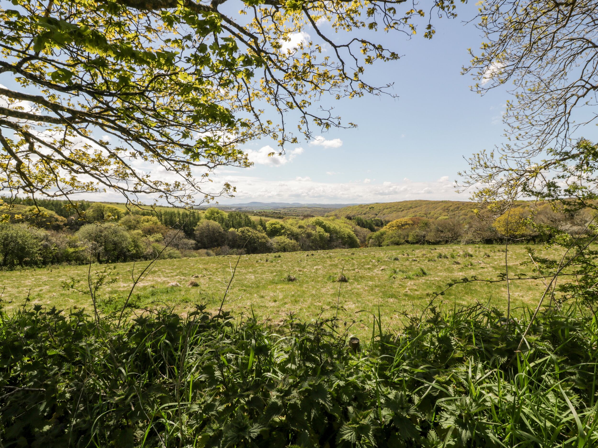 Property image 18 for SC1202474