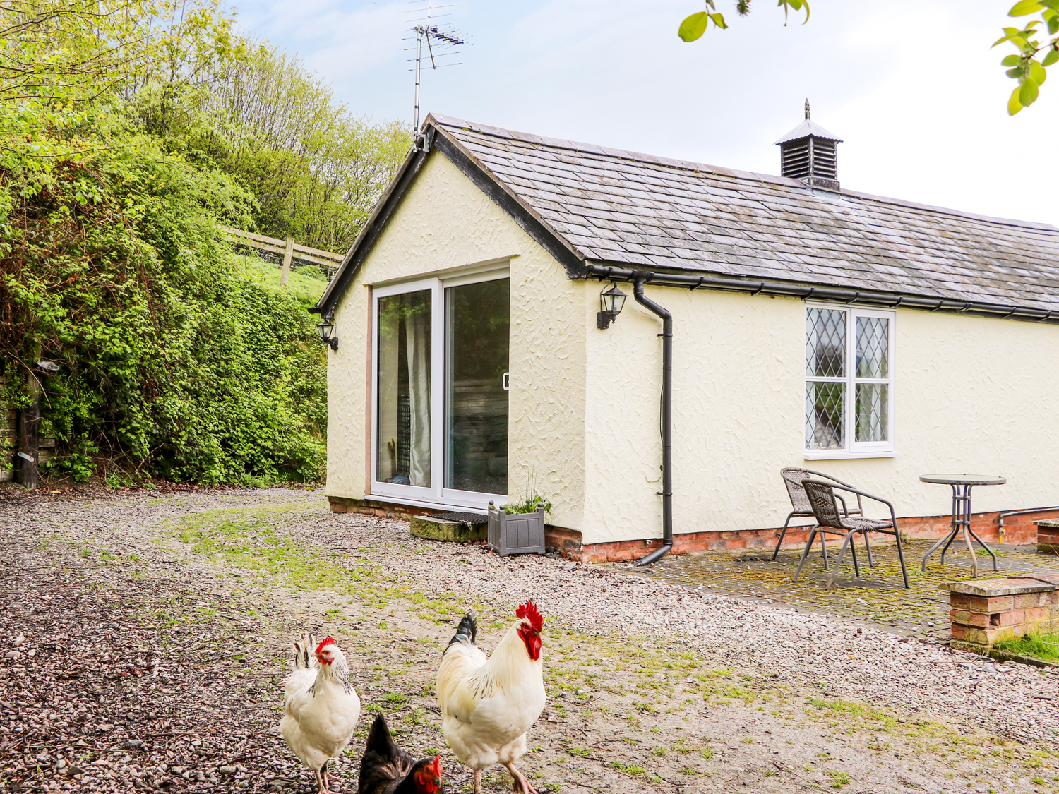 Dog Friendly Accomodation Ruthin Dog Friendly Accomodation Ruthin