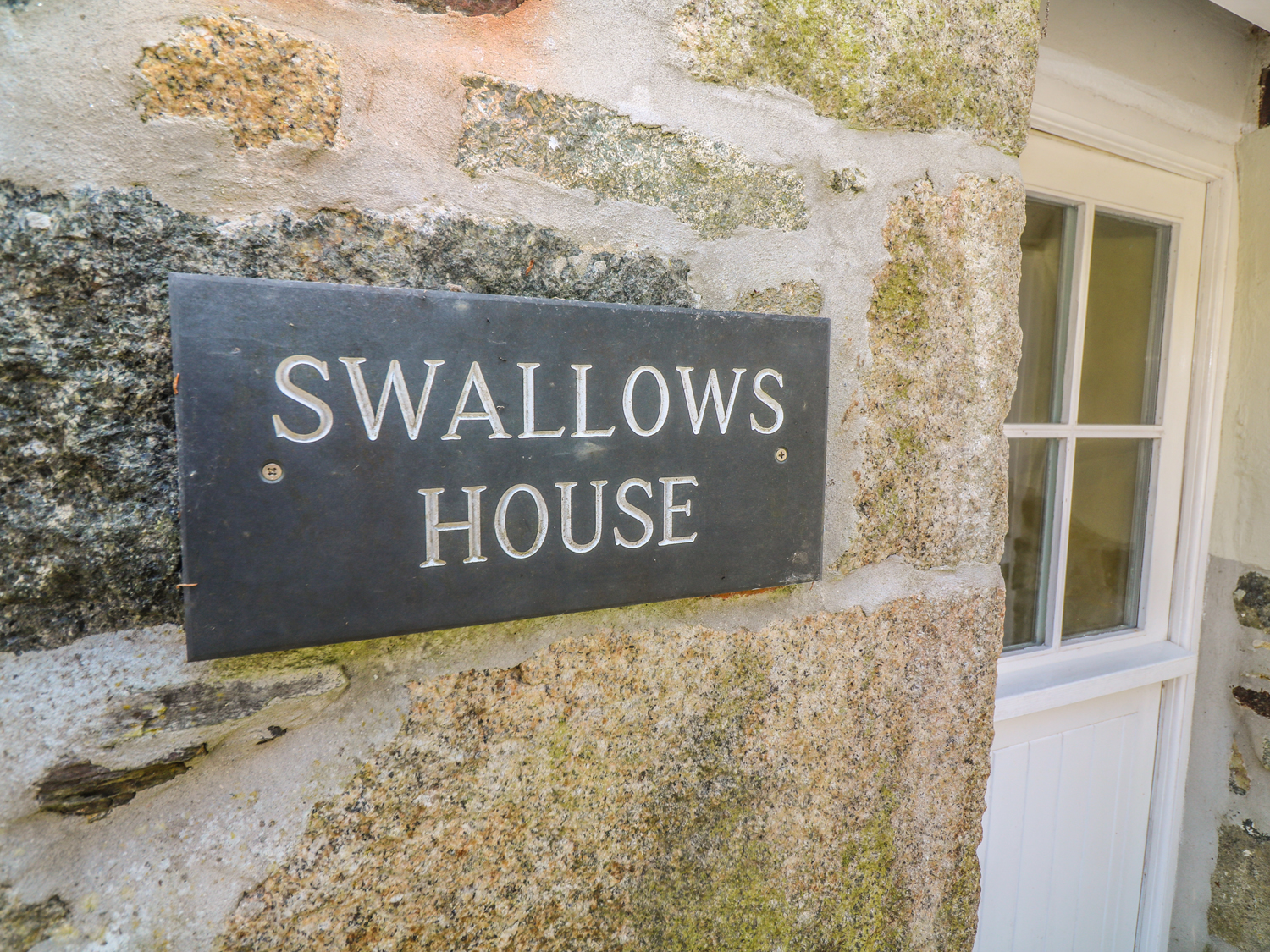 Swallows, Cornwall