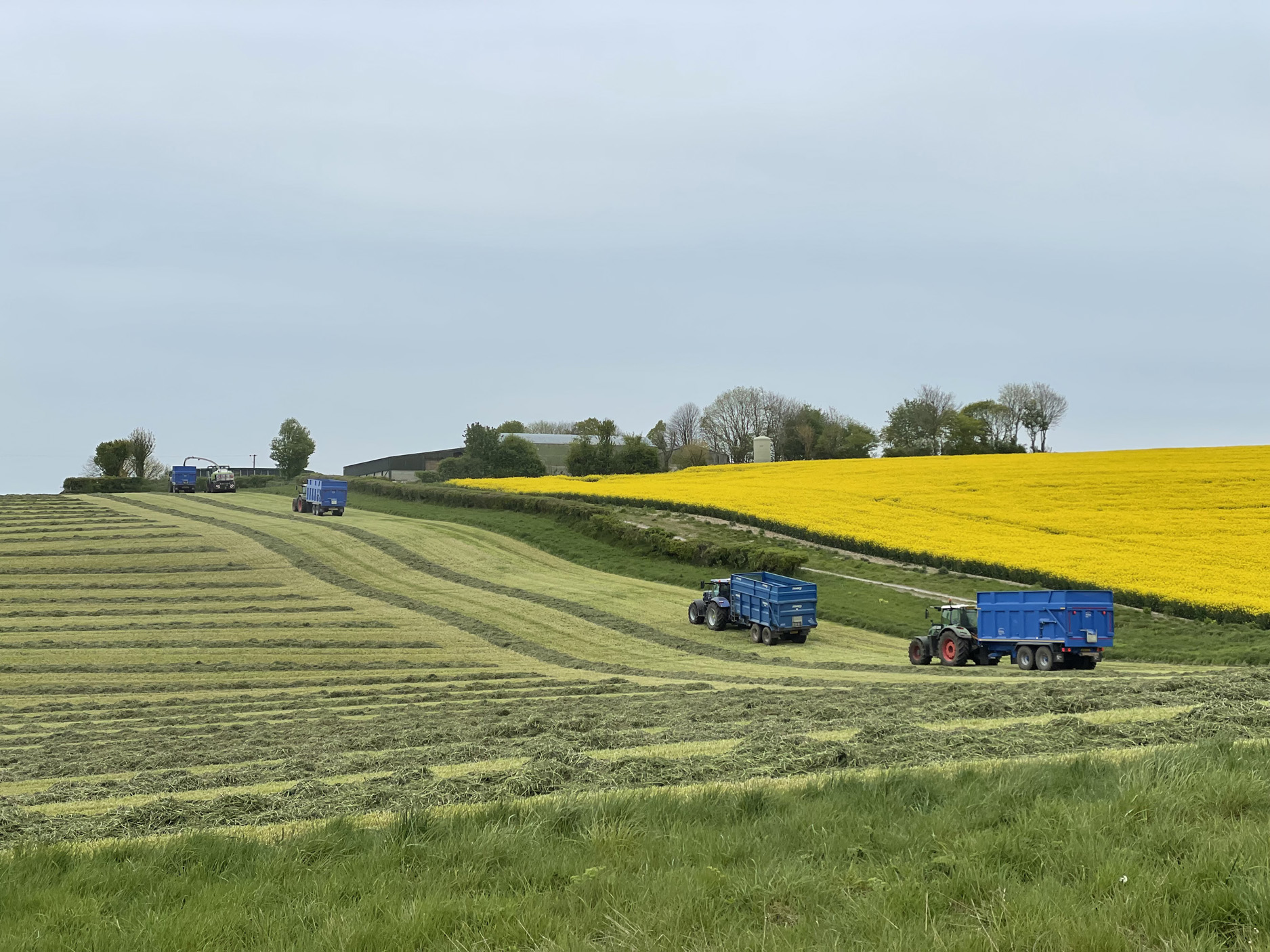 Property image 28 for SC905896