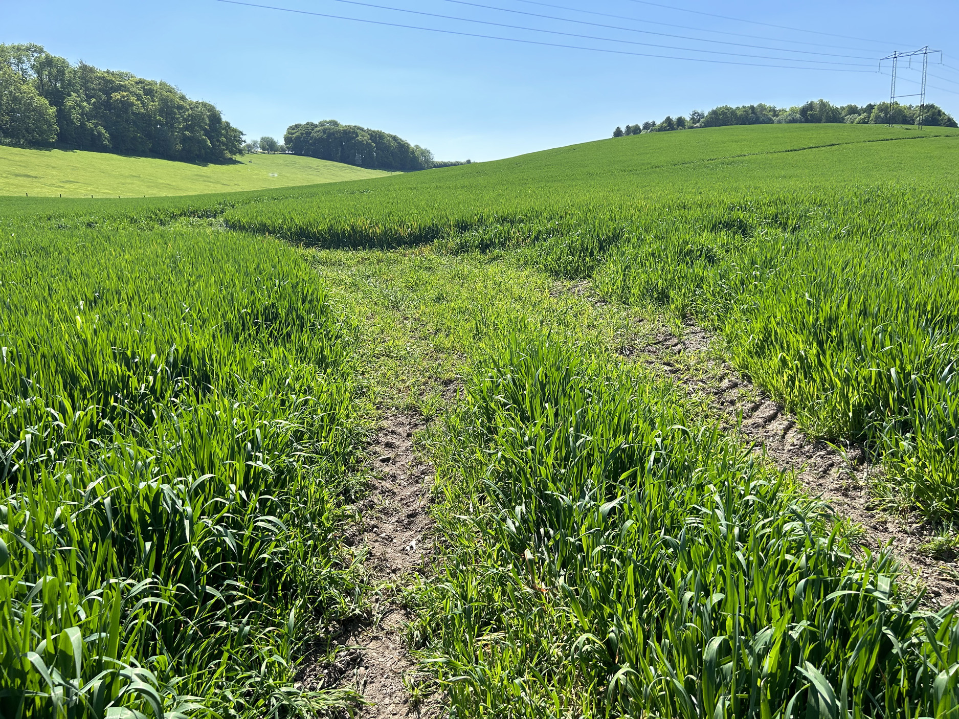 Property image 26 for SC905896