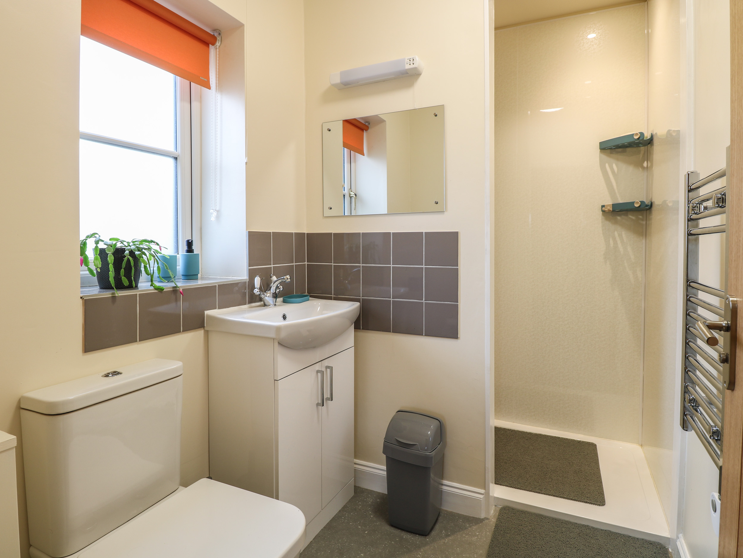 Property image 11 for SC935833