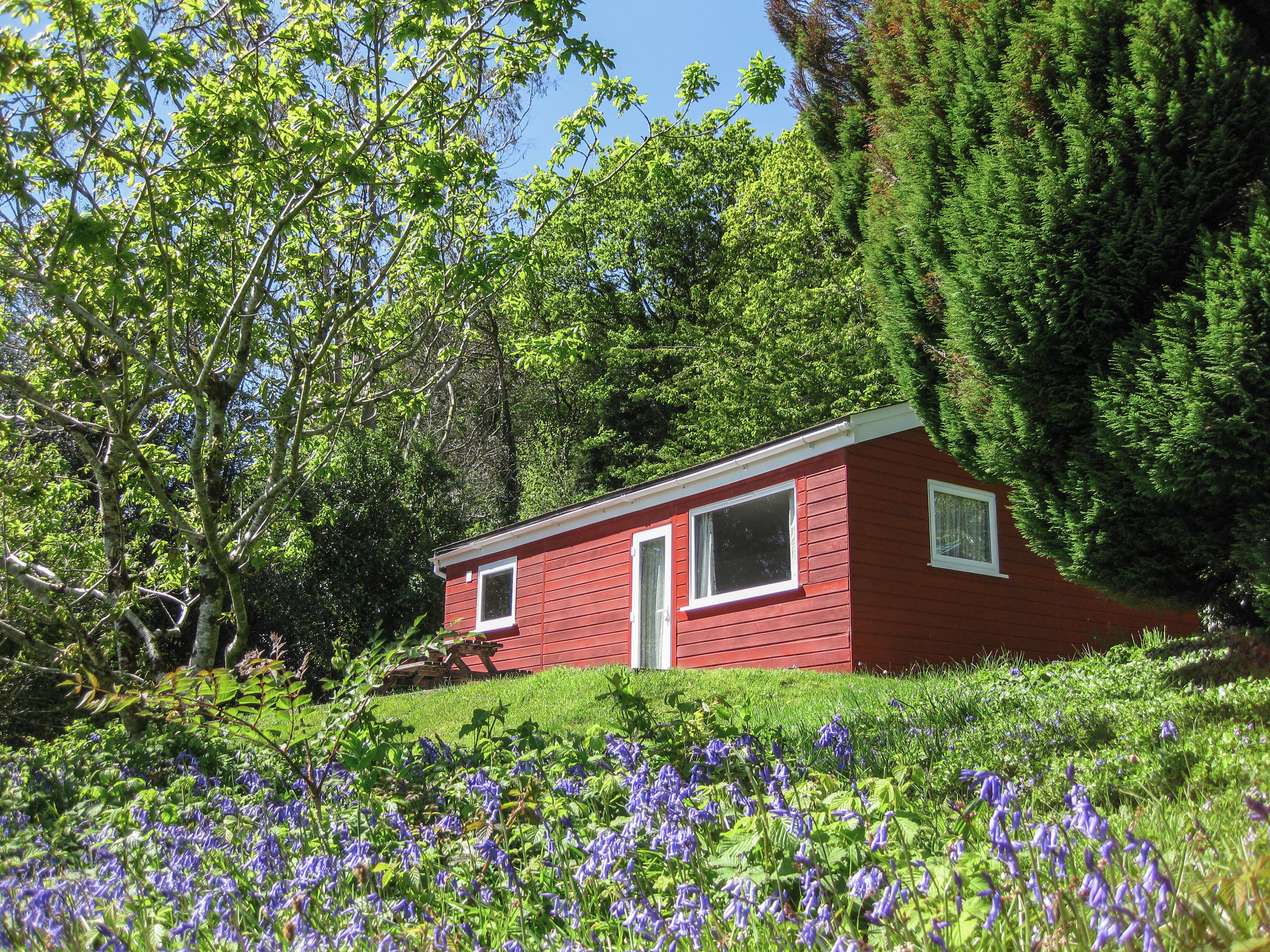 Bluebell Lodge