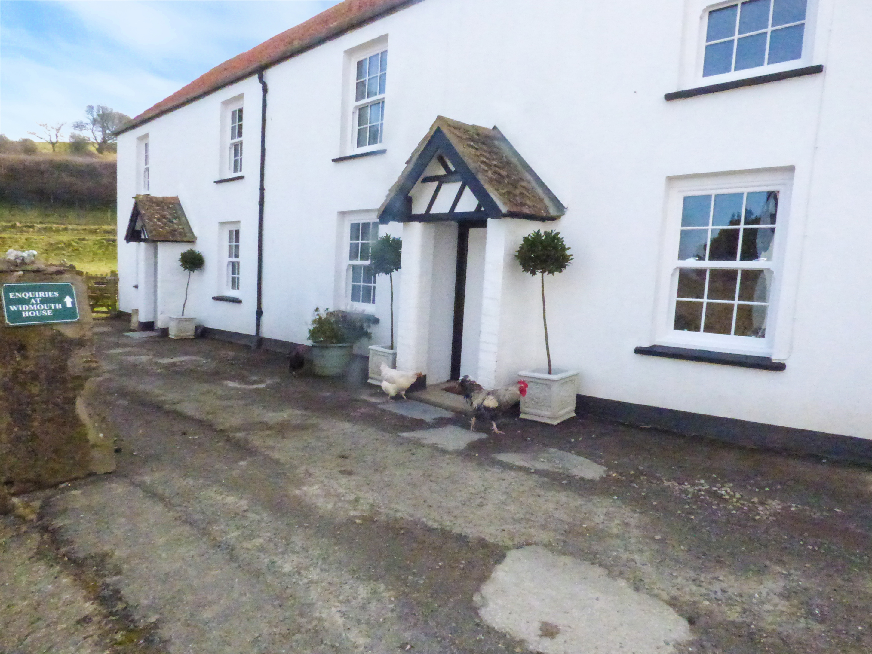Pheasant Cottage