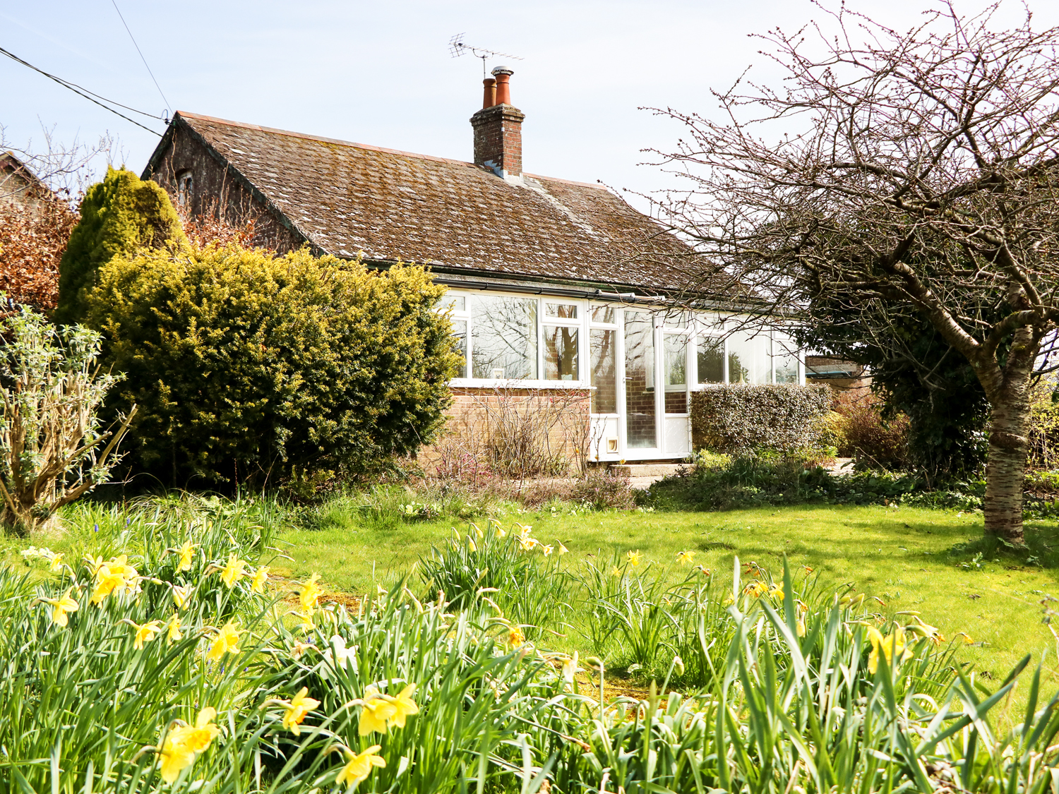 Sunny Croft