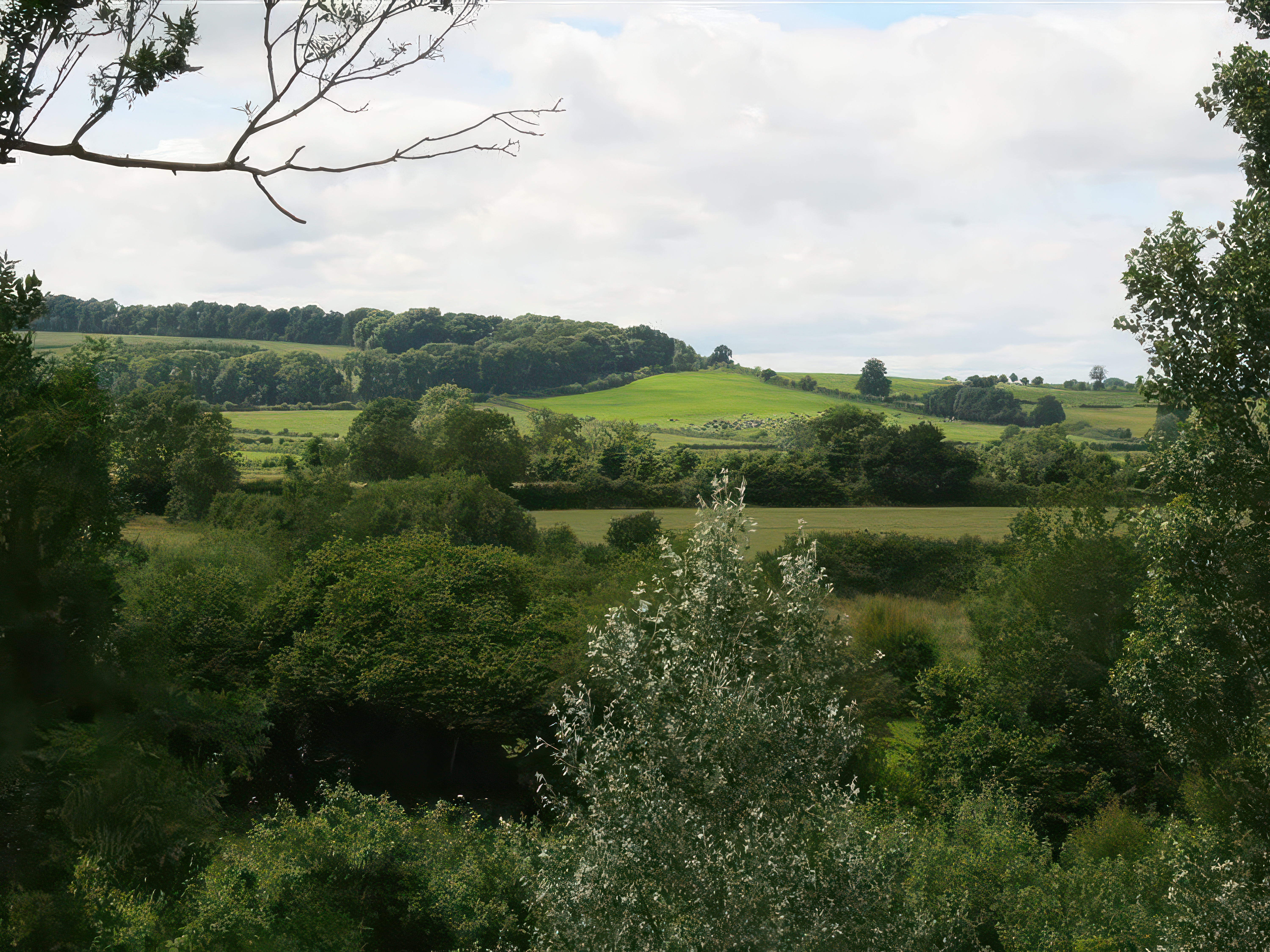 Property image 29 for SC988703