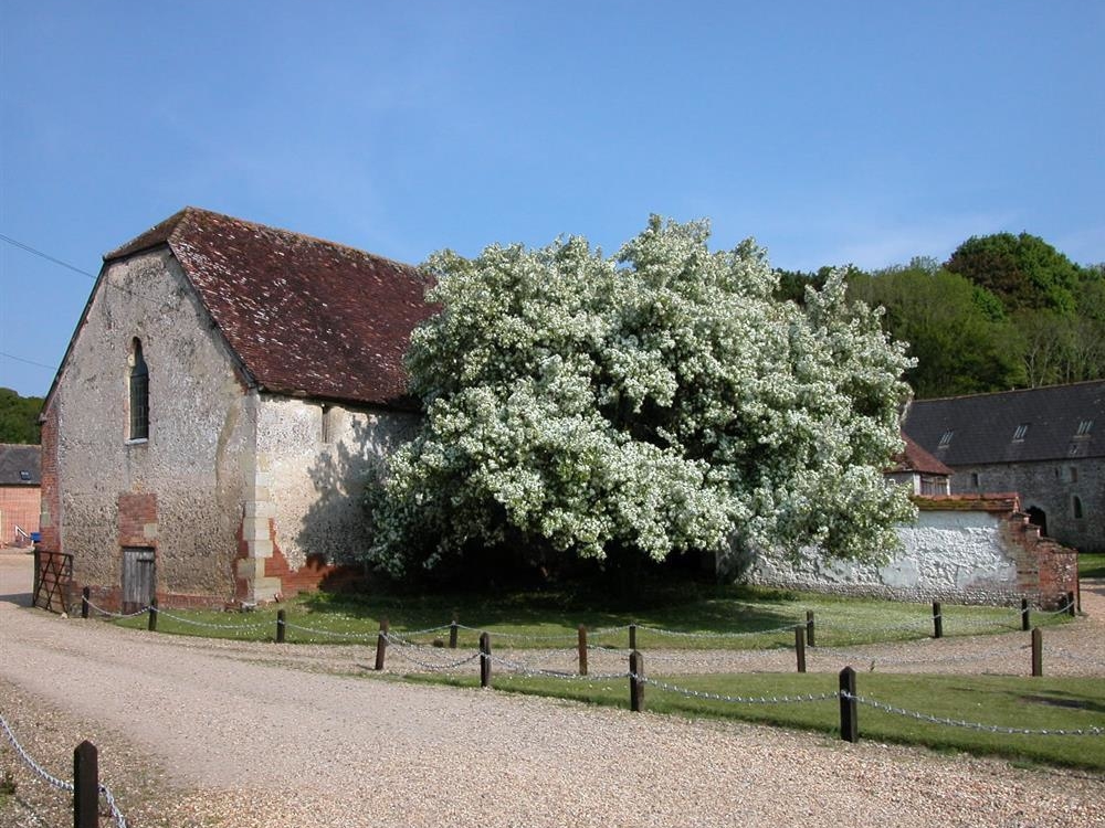 Manor Farm