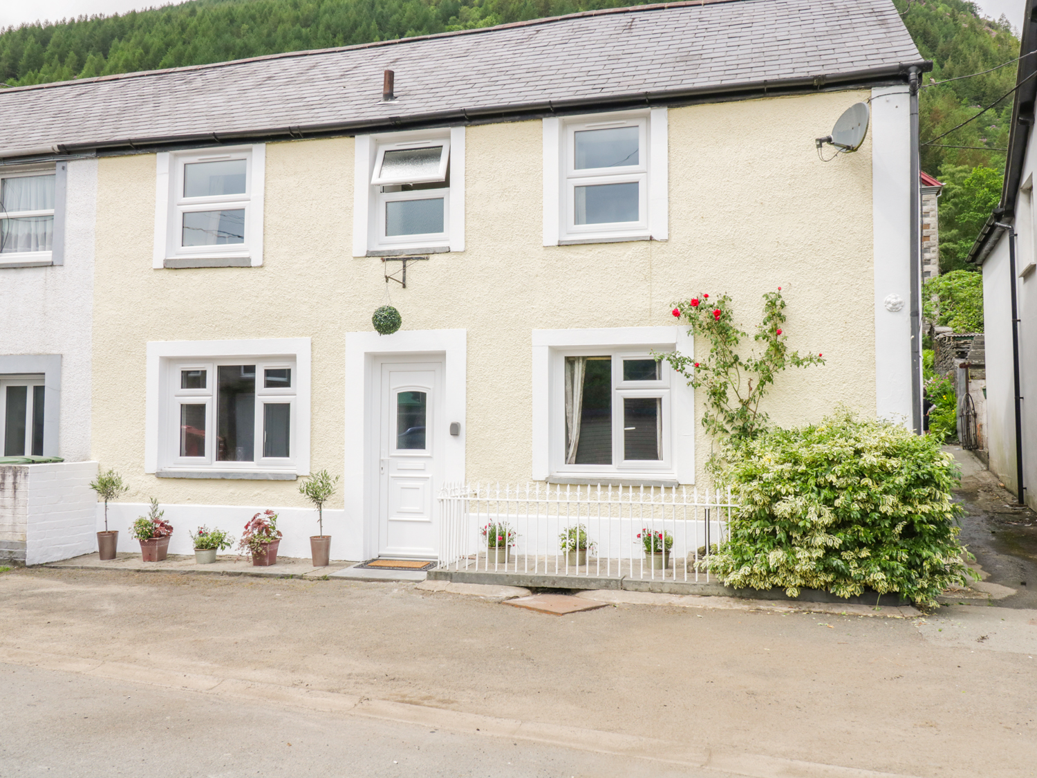 Gwynfryn
