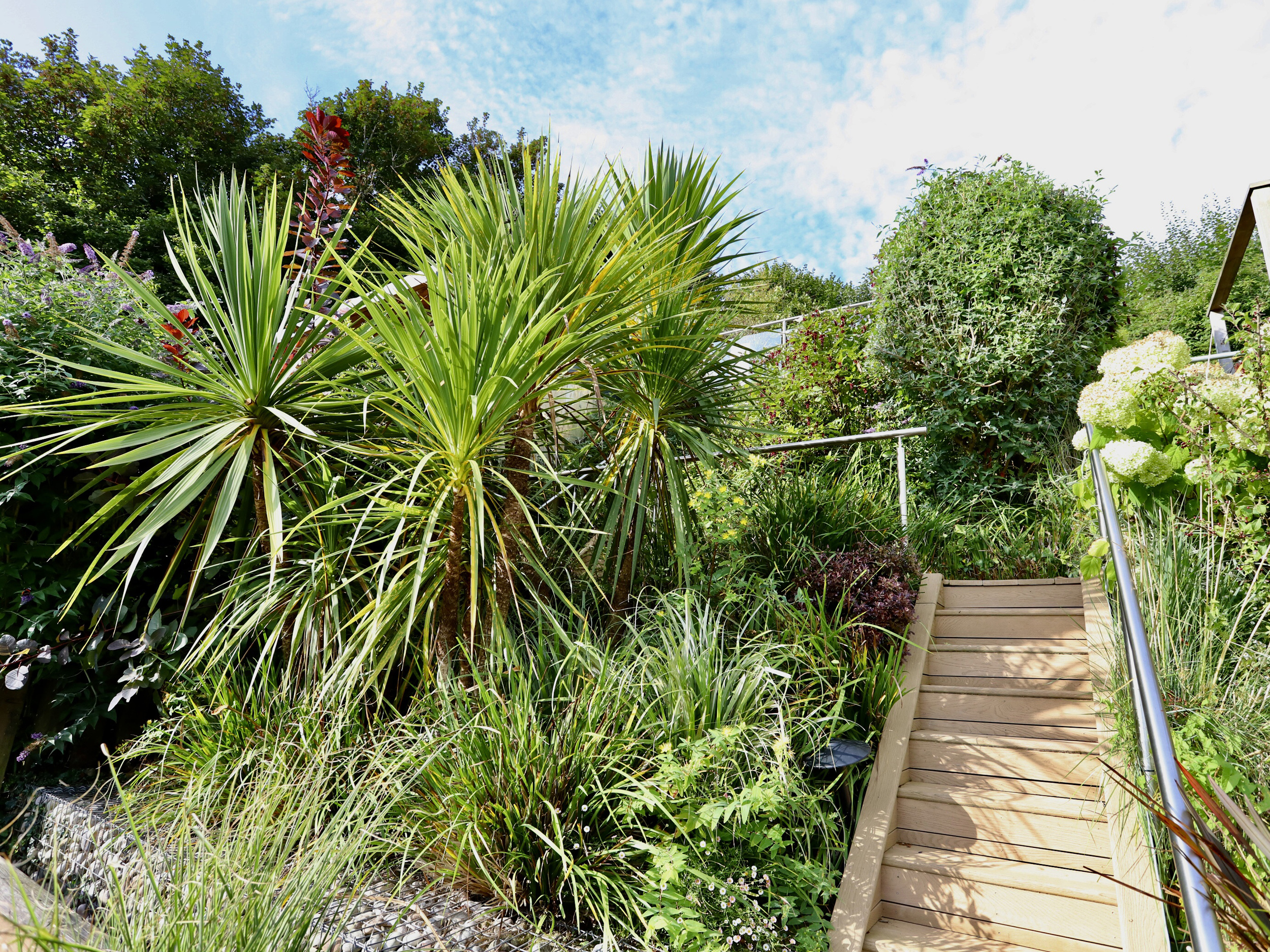 Property image 18 for SC995387