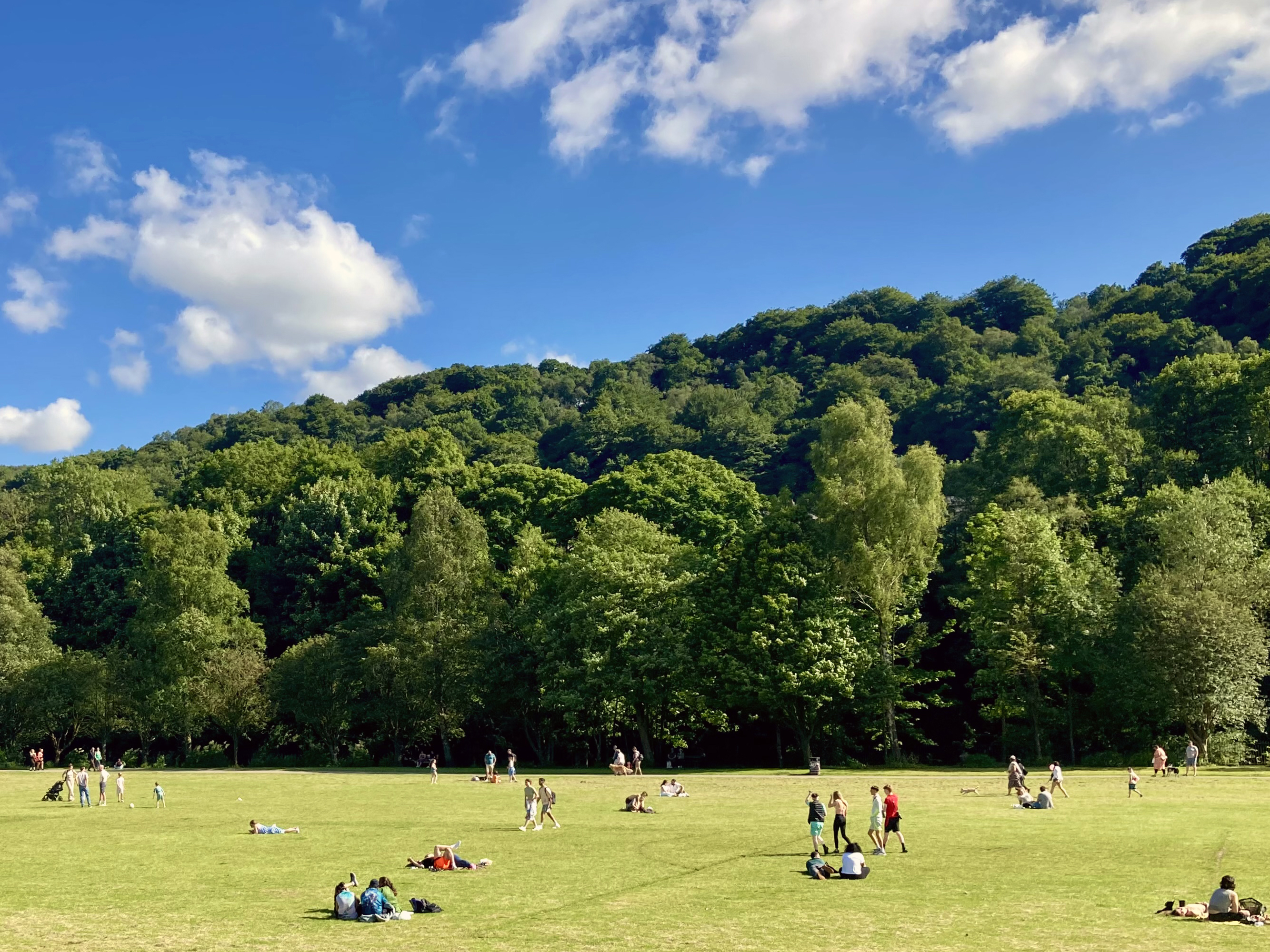 Property image 9 for SC998233