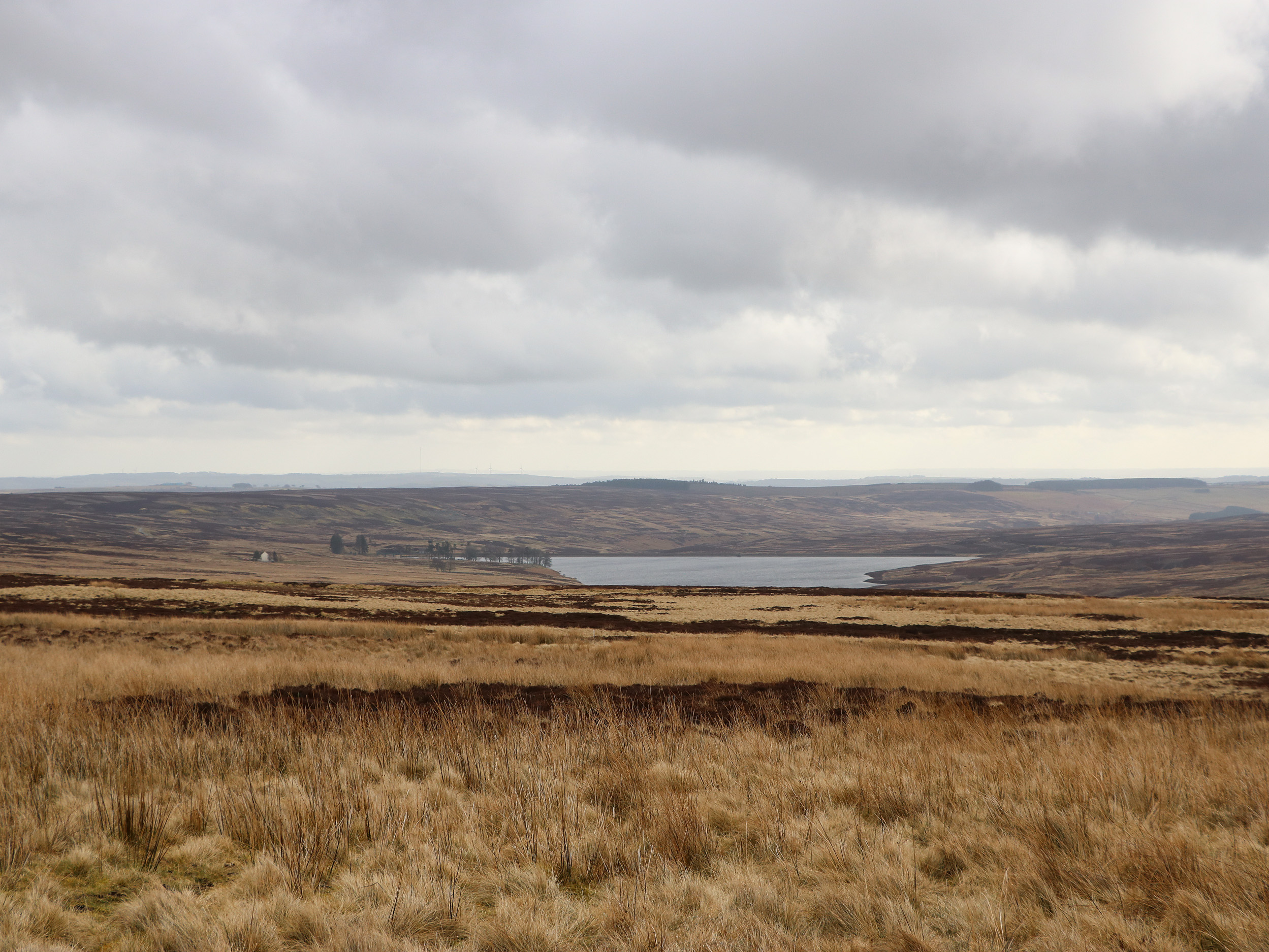 Horsley Cottage, Consett