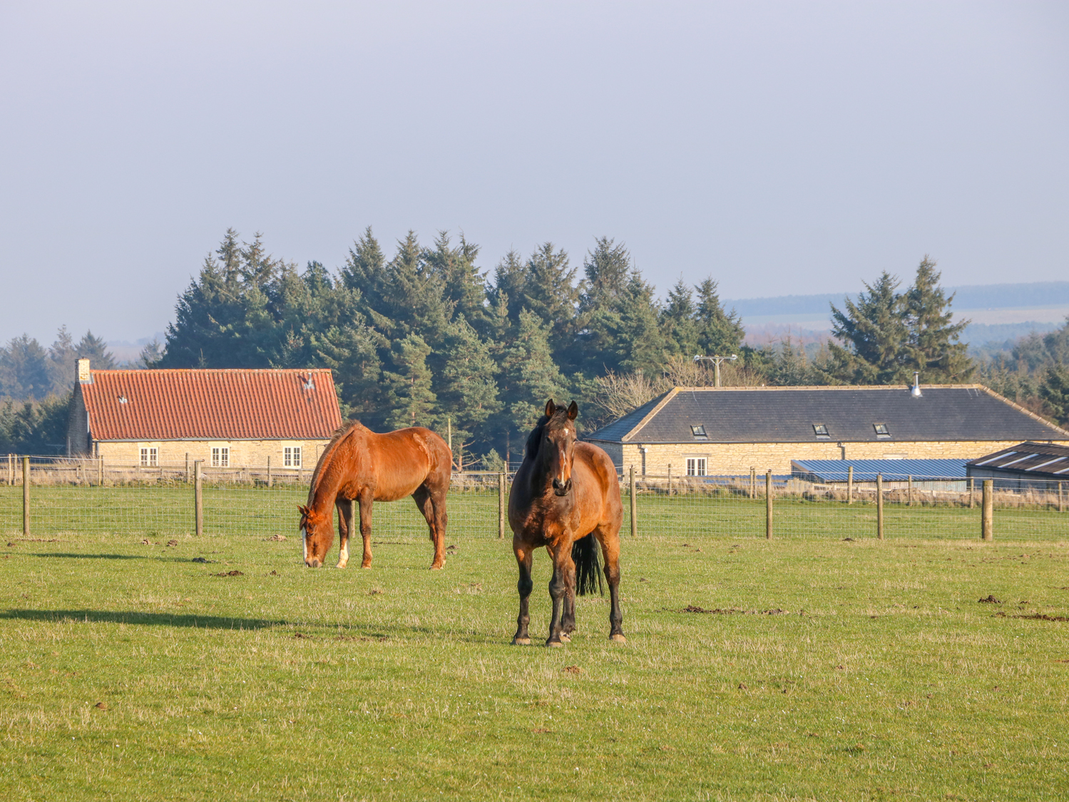 Property image 19 for SC1002964