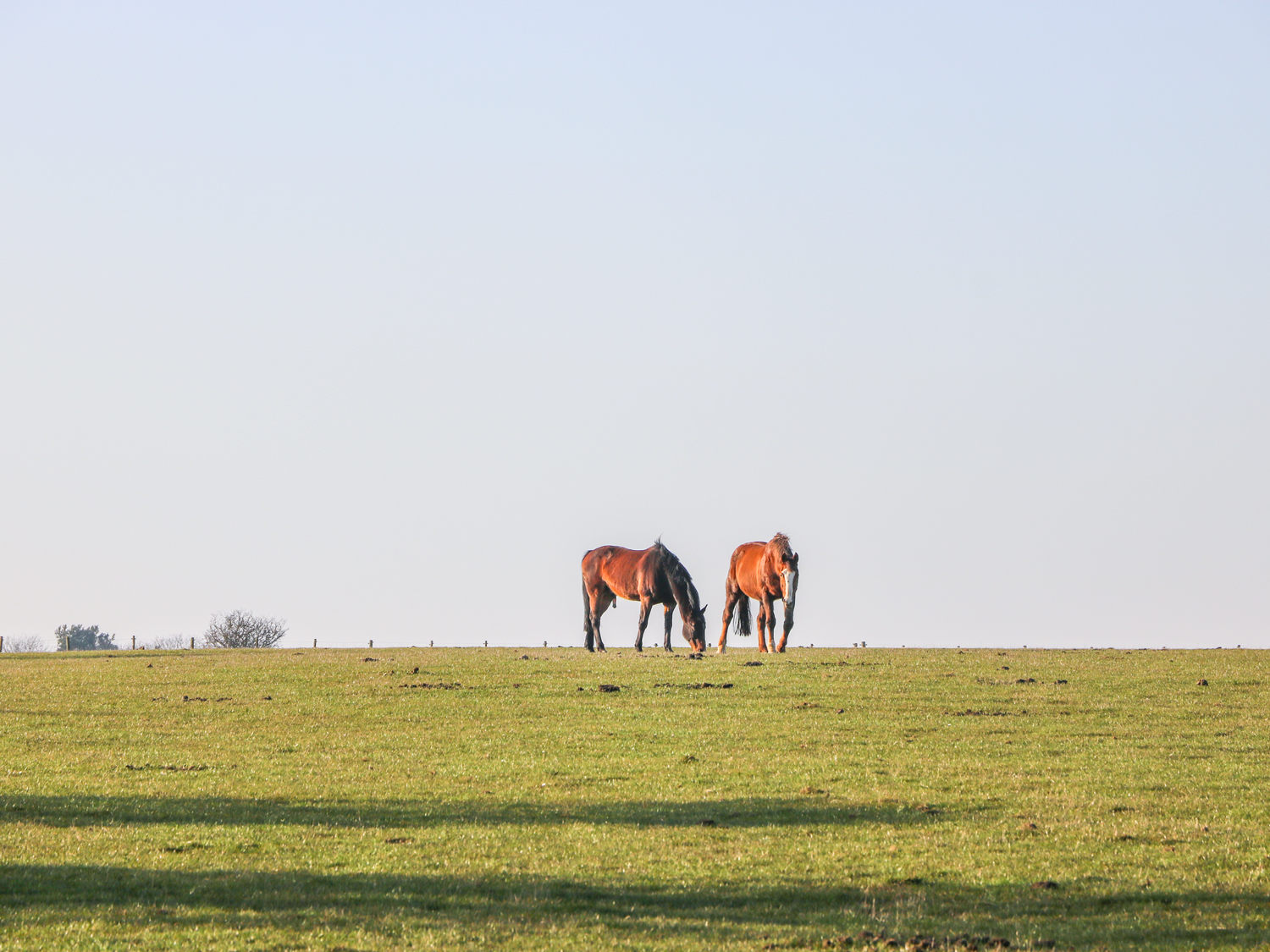 Property image 20 for SC1002964