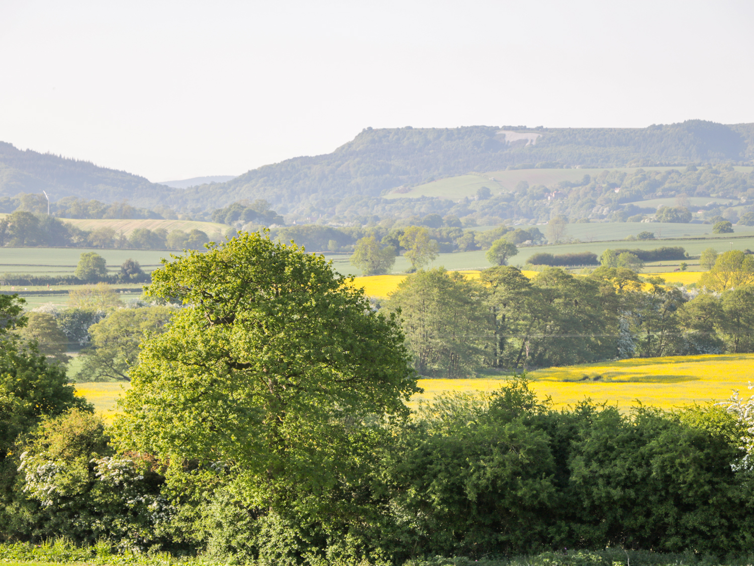 Property image 18 for SC1004365