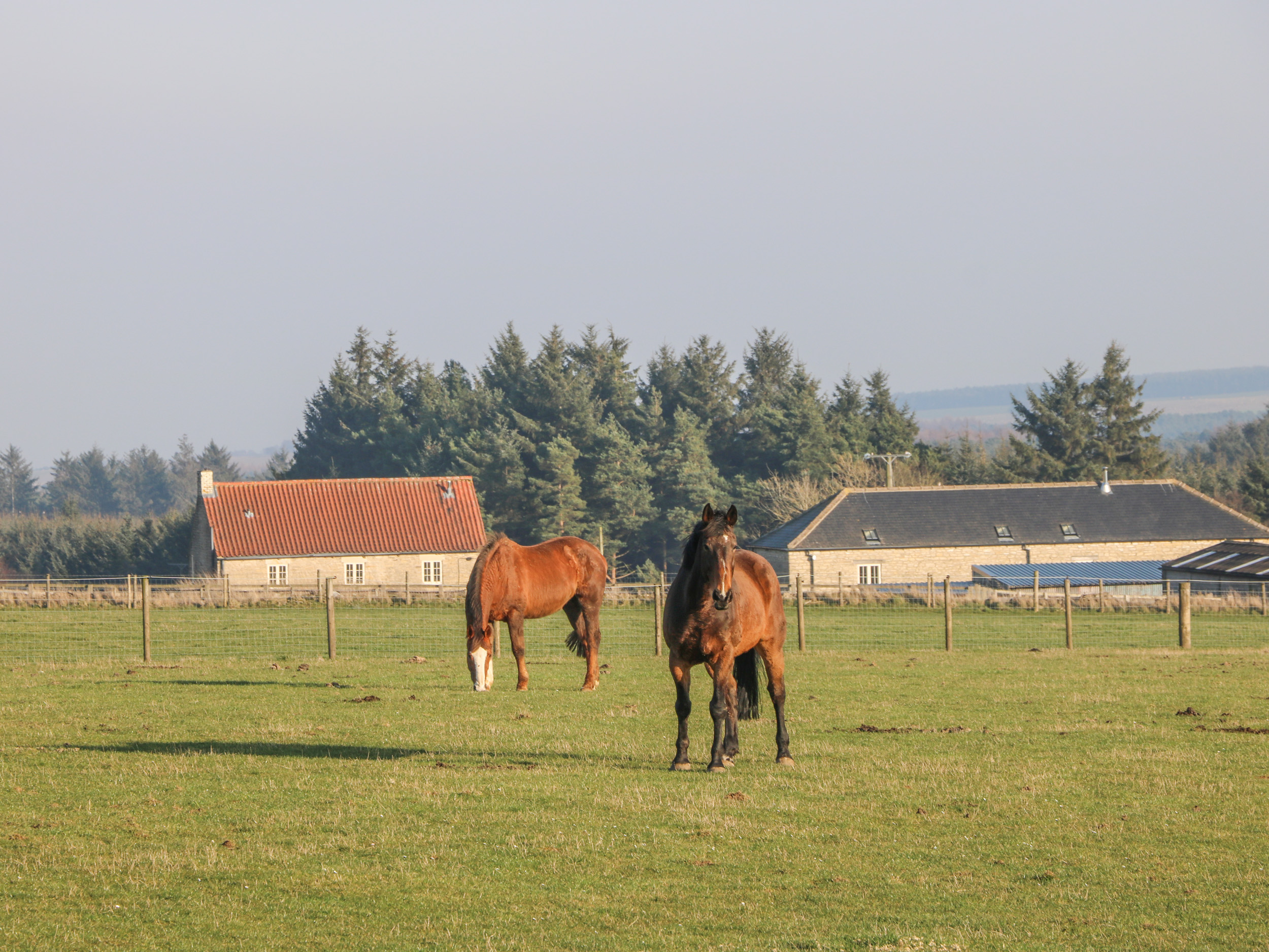 Property image 21 for SC1004365