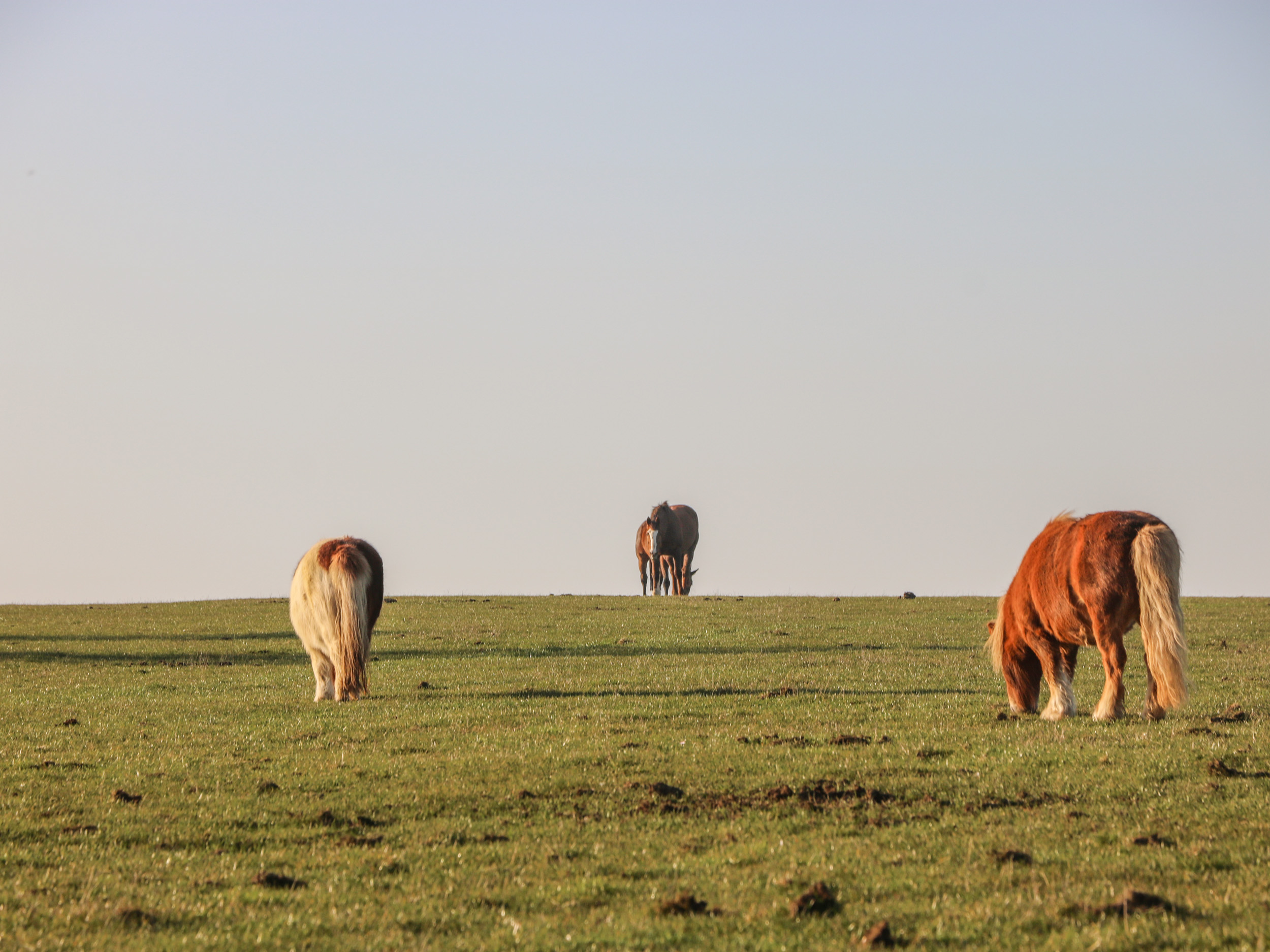 Property image 22 for SC1004365