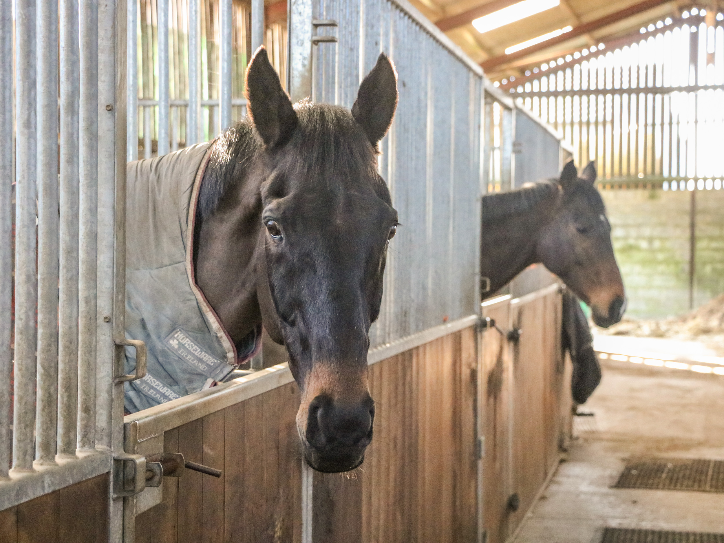 Property image 23 for SC1004365