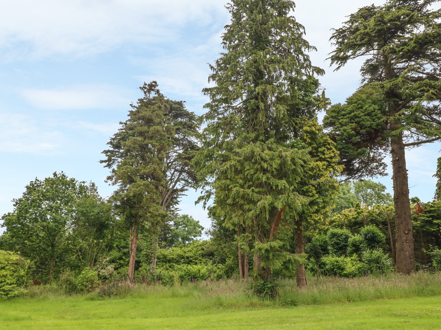 Property image 16 for SC1005277