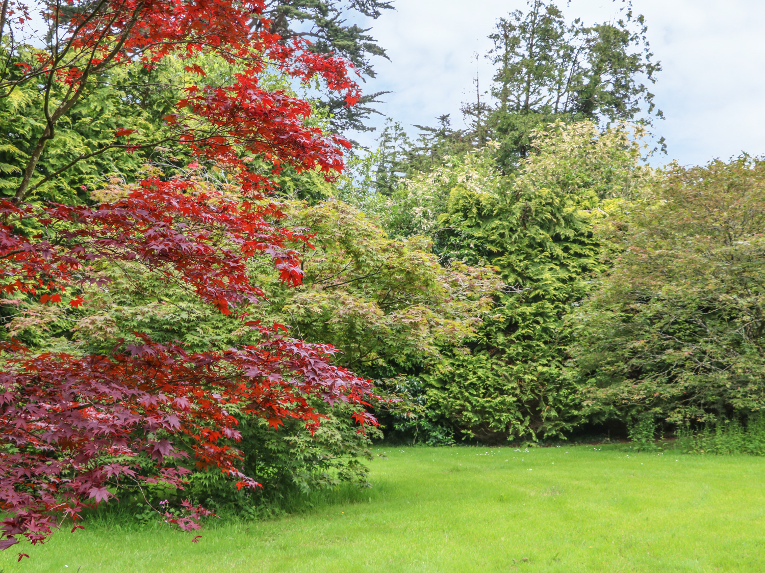 Property image 18 for SC1005277