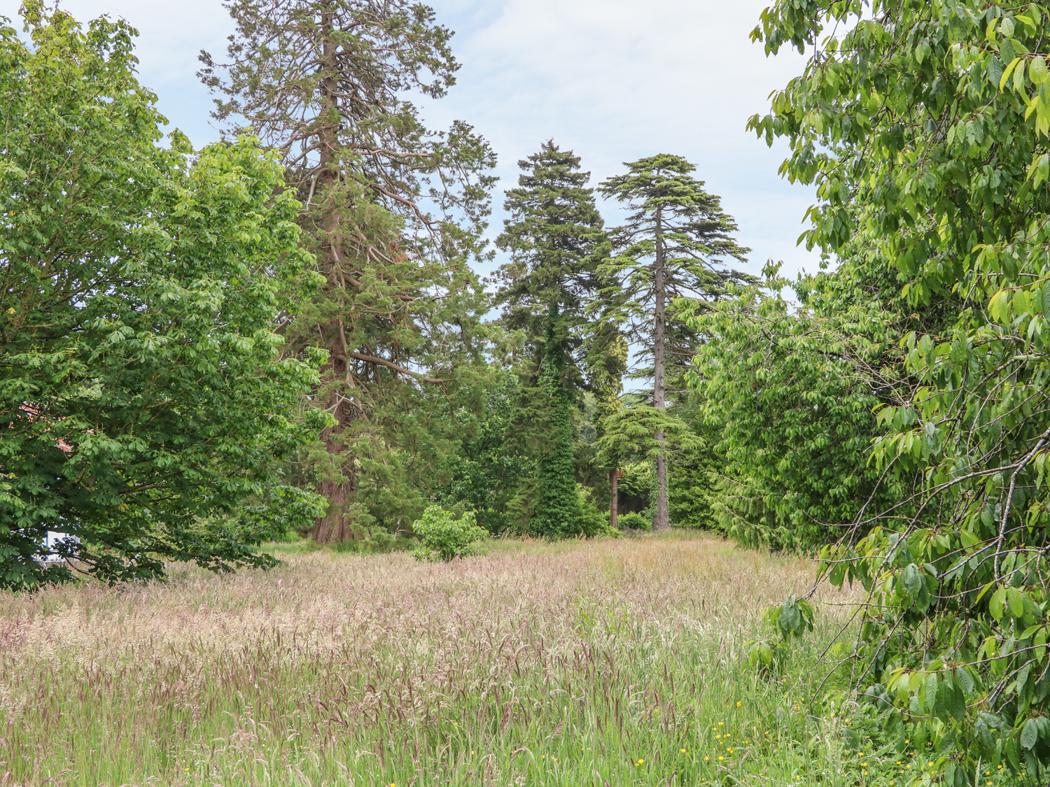 Property image 19 for SC1005277